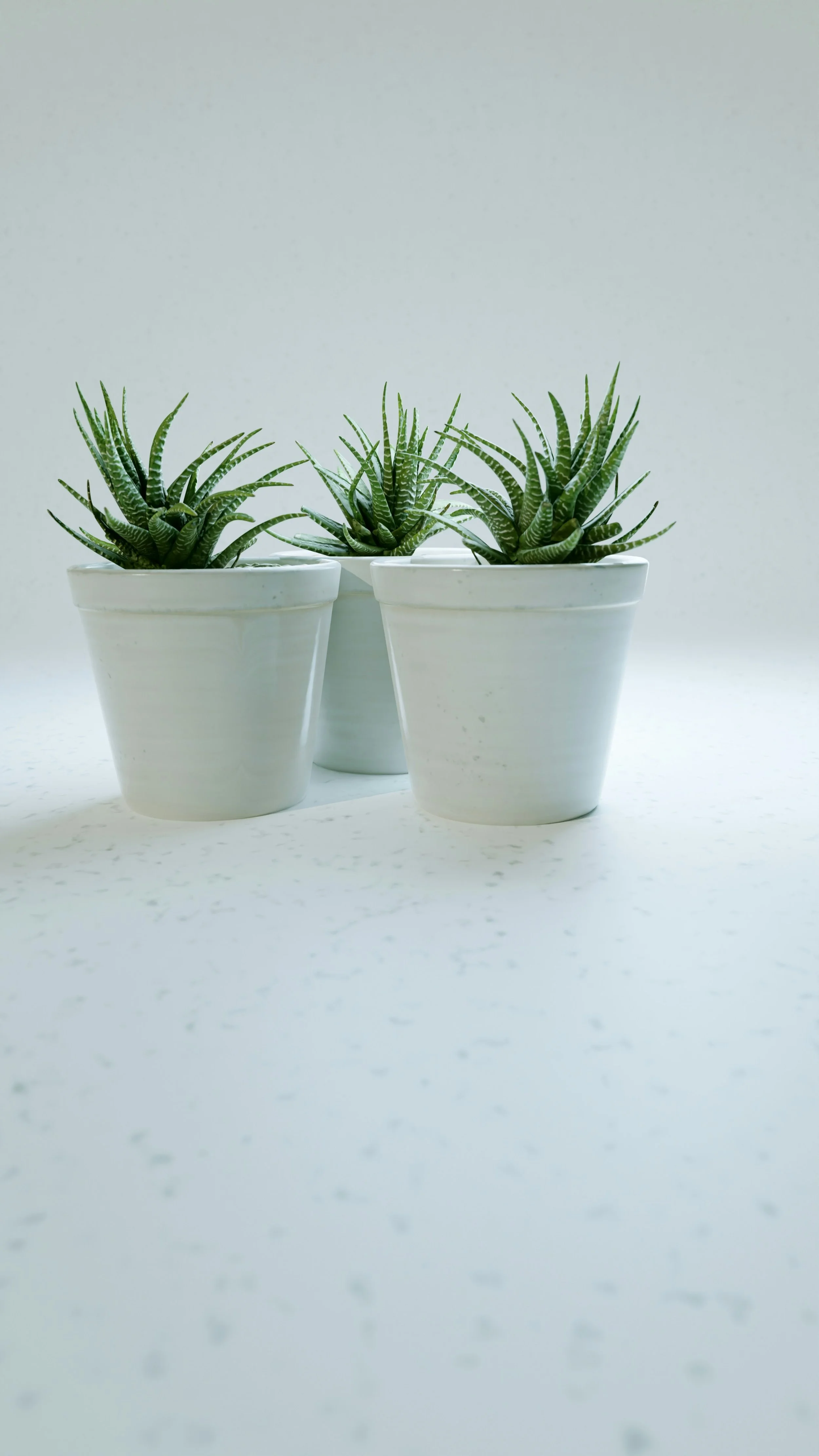 DLSU Consulting and Education Center