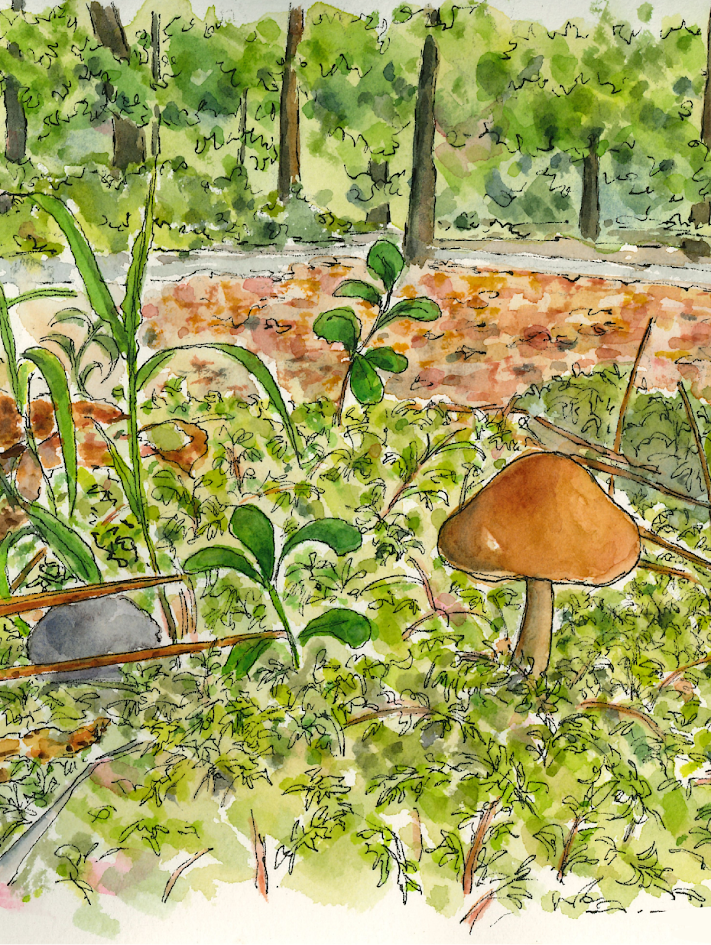 After the Rain, Luther Forest. Watercolor sketch by Ottavia Huang. This art was selected for a Malta street banner.