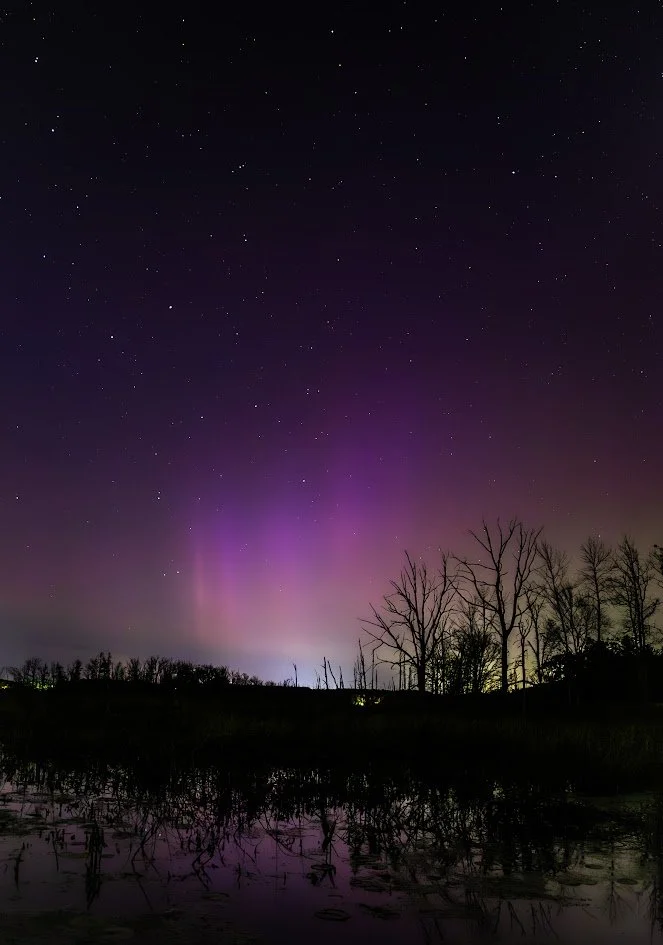 Aurora Hunting, Round Lake Preserve. Photograph by Scott LeFevre.