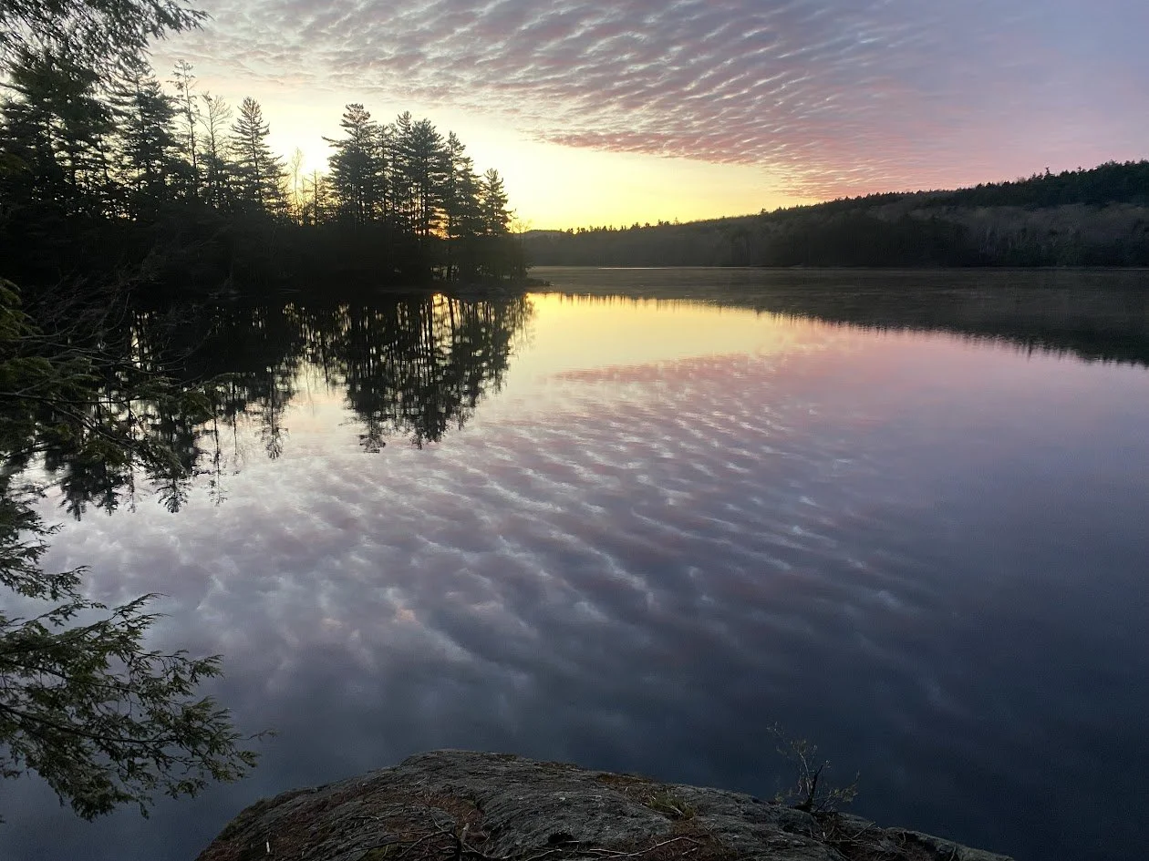 Dawn Over Pond. Photograph by Stephen Knoll.