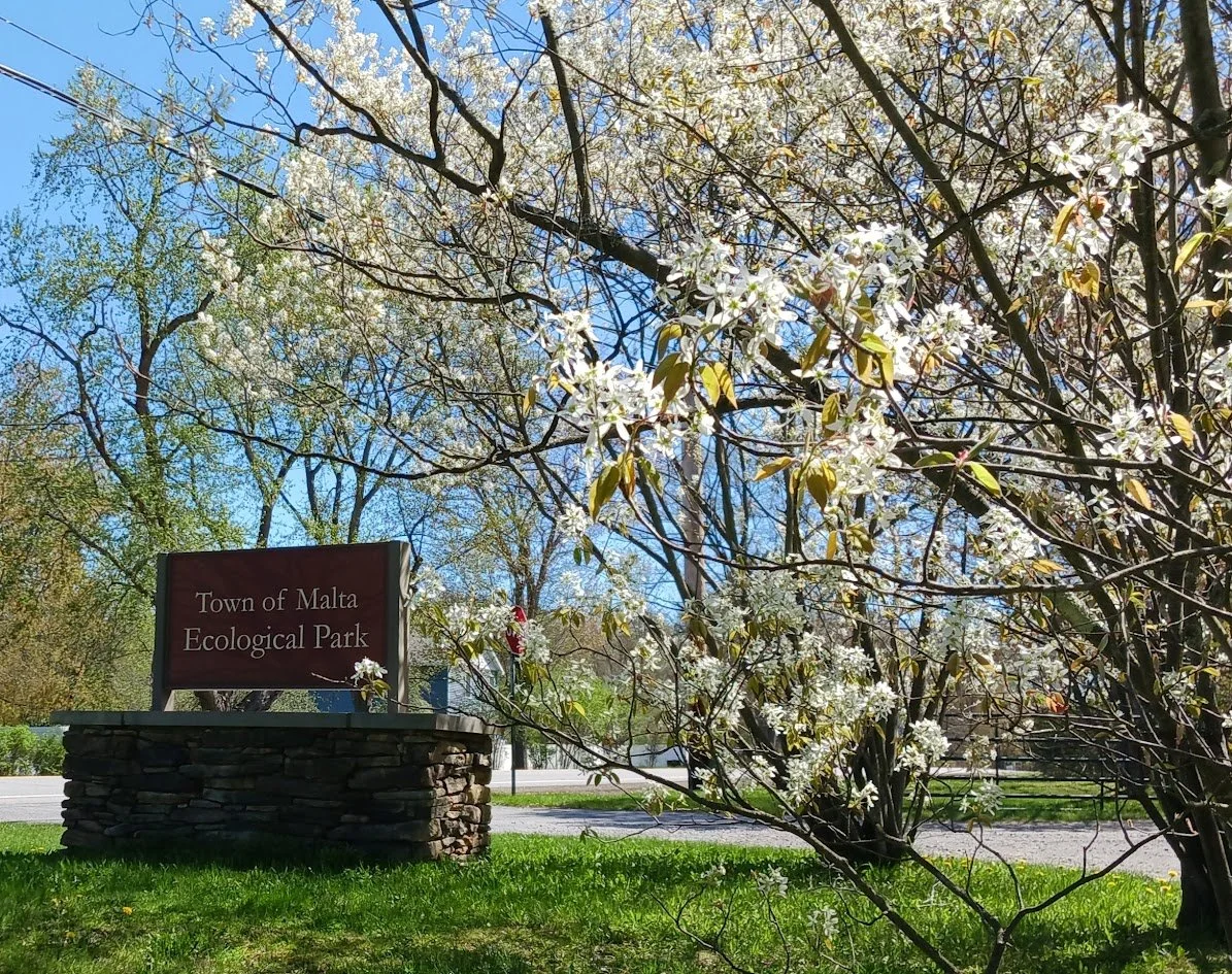 Malta Ecological Park in the Spring. Photograph by Mary Salica.