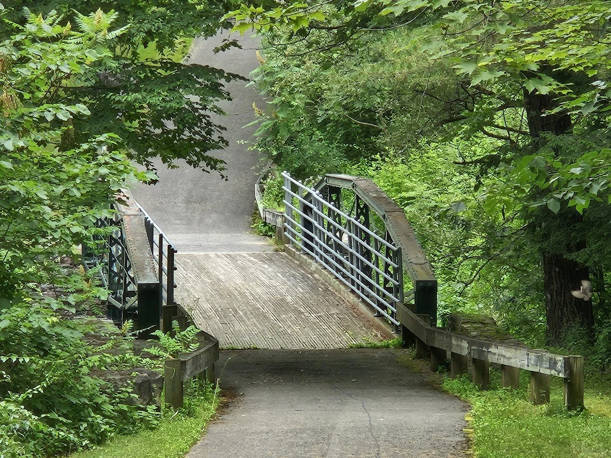 Iron Truss Bridge at Rhule Road. Photograph by Patricia Neiswender.
