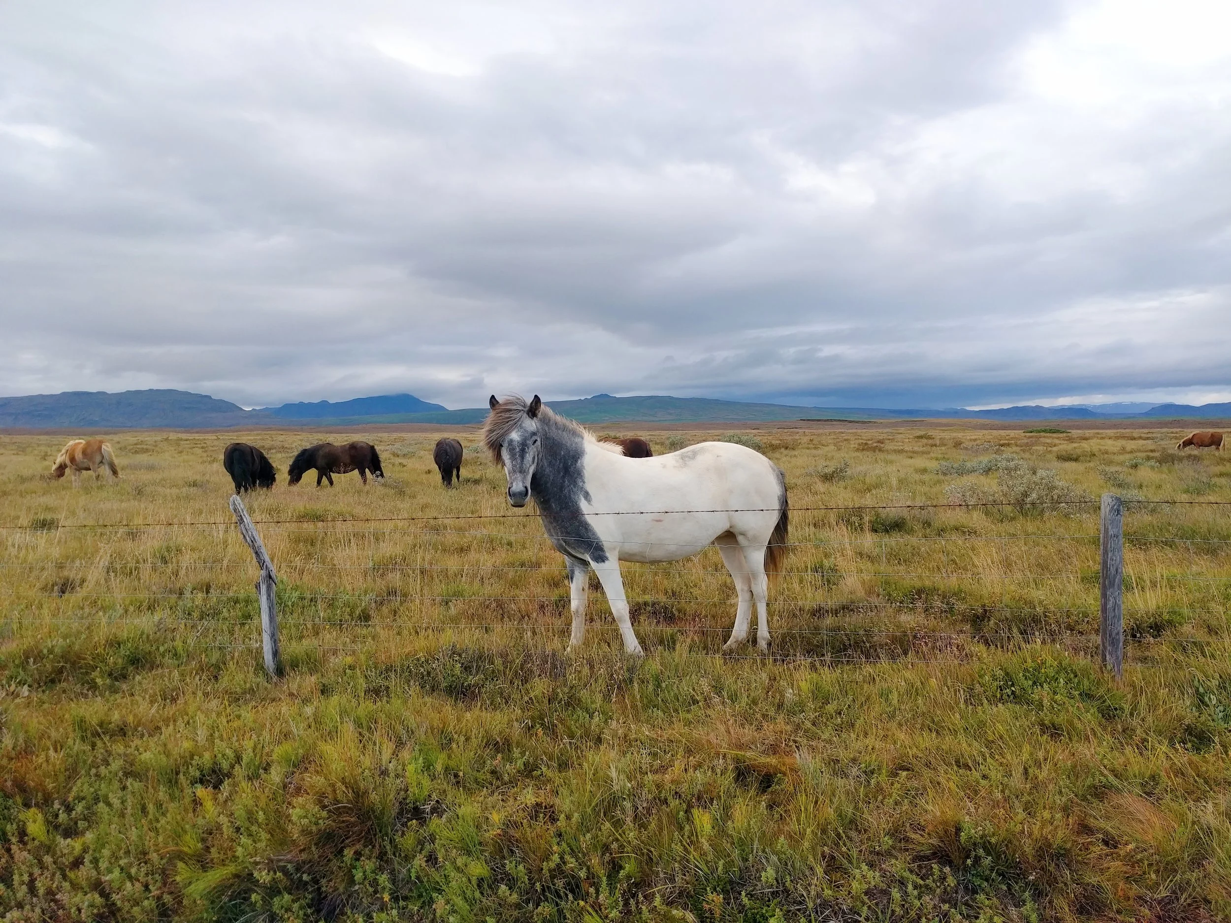 2017-09-04 11.07.57 1.jpg