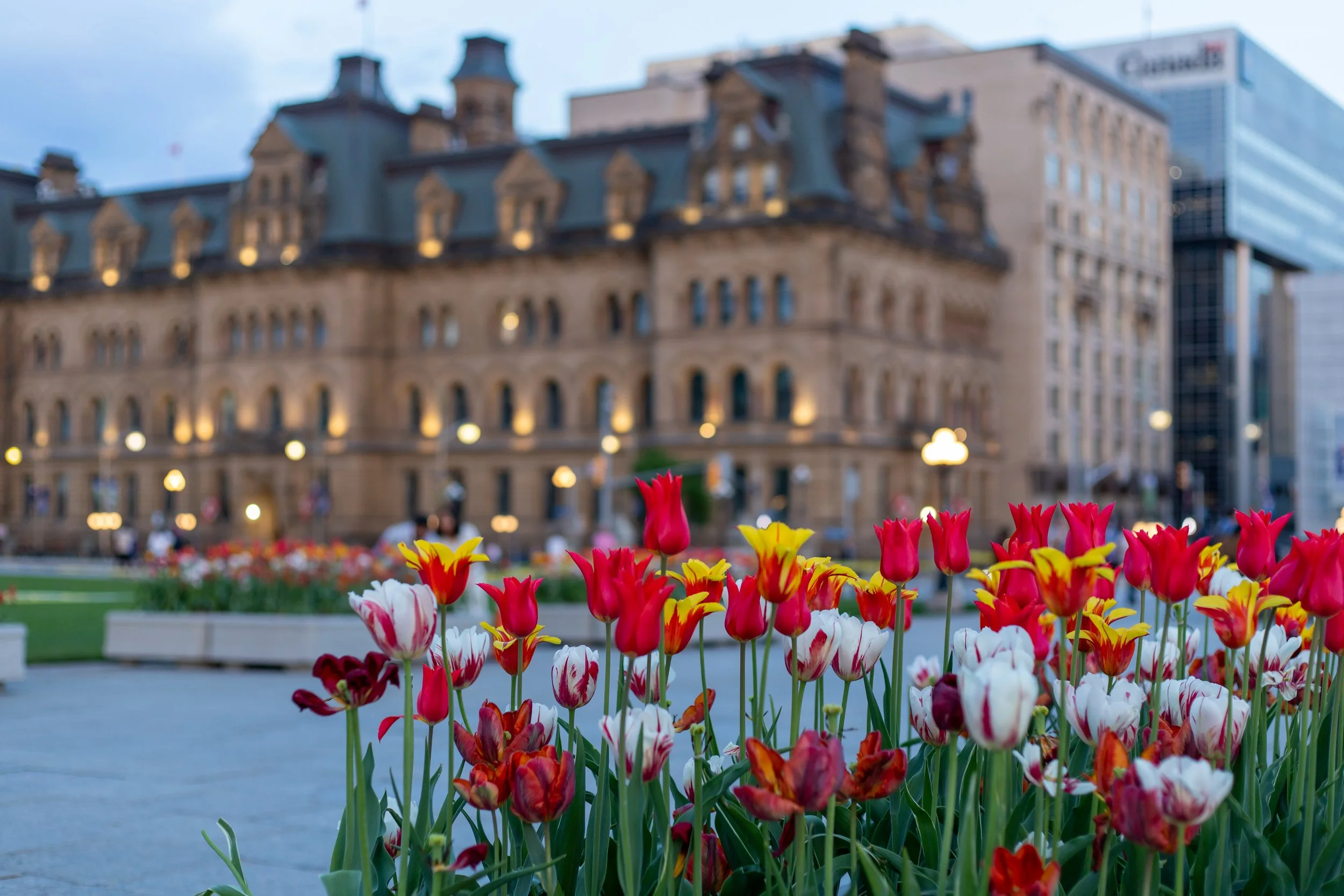 The Hidden Toll: How Workforce Adjustment Is Affecting the Mental Health of Ottawa's Public Servants