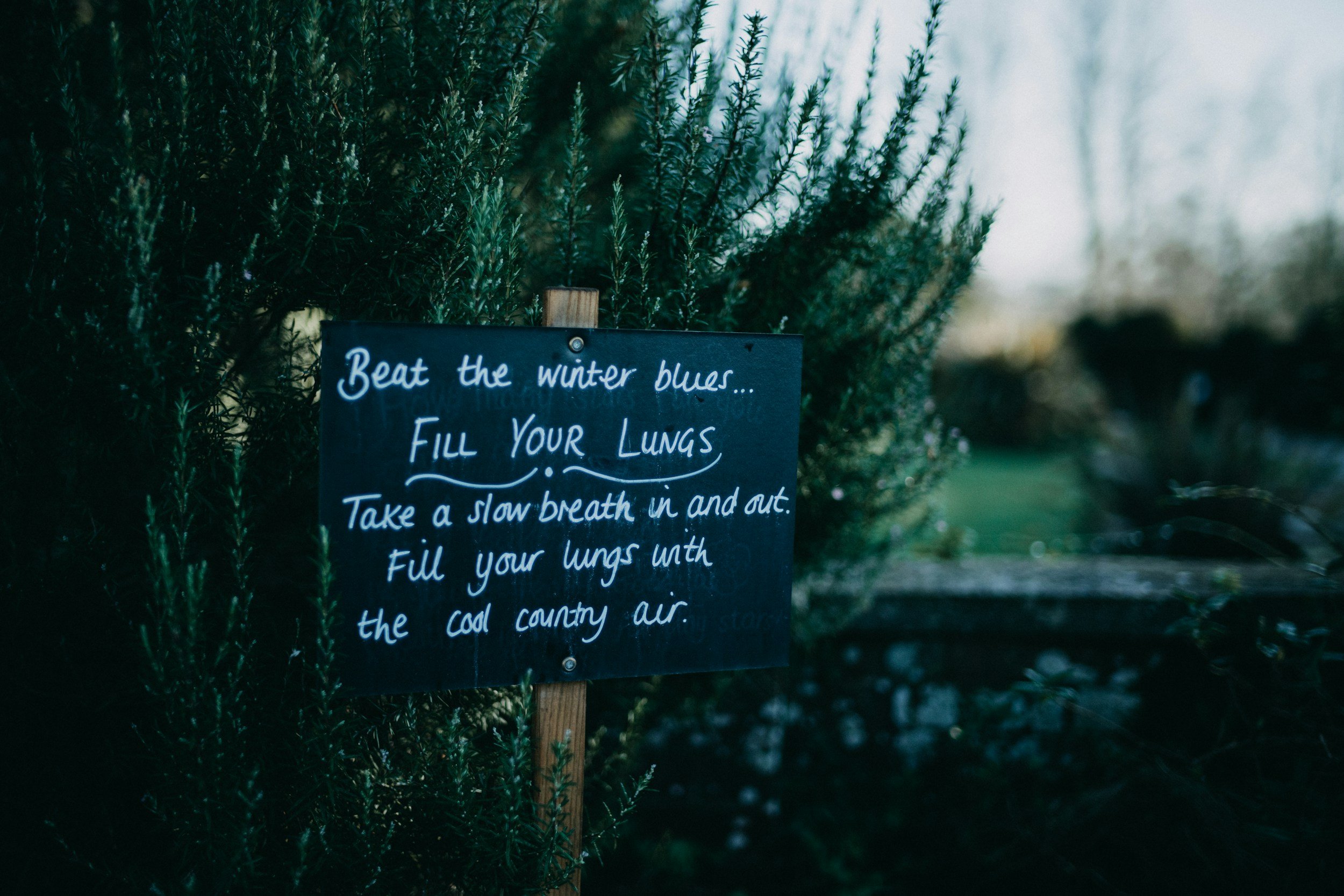 Seasonal Depression vs. the "Winter Blues": How to Tell the Difference (and When to Get Help)
