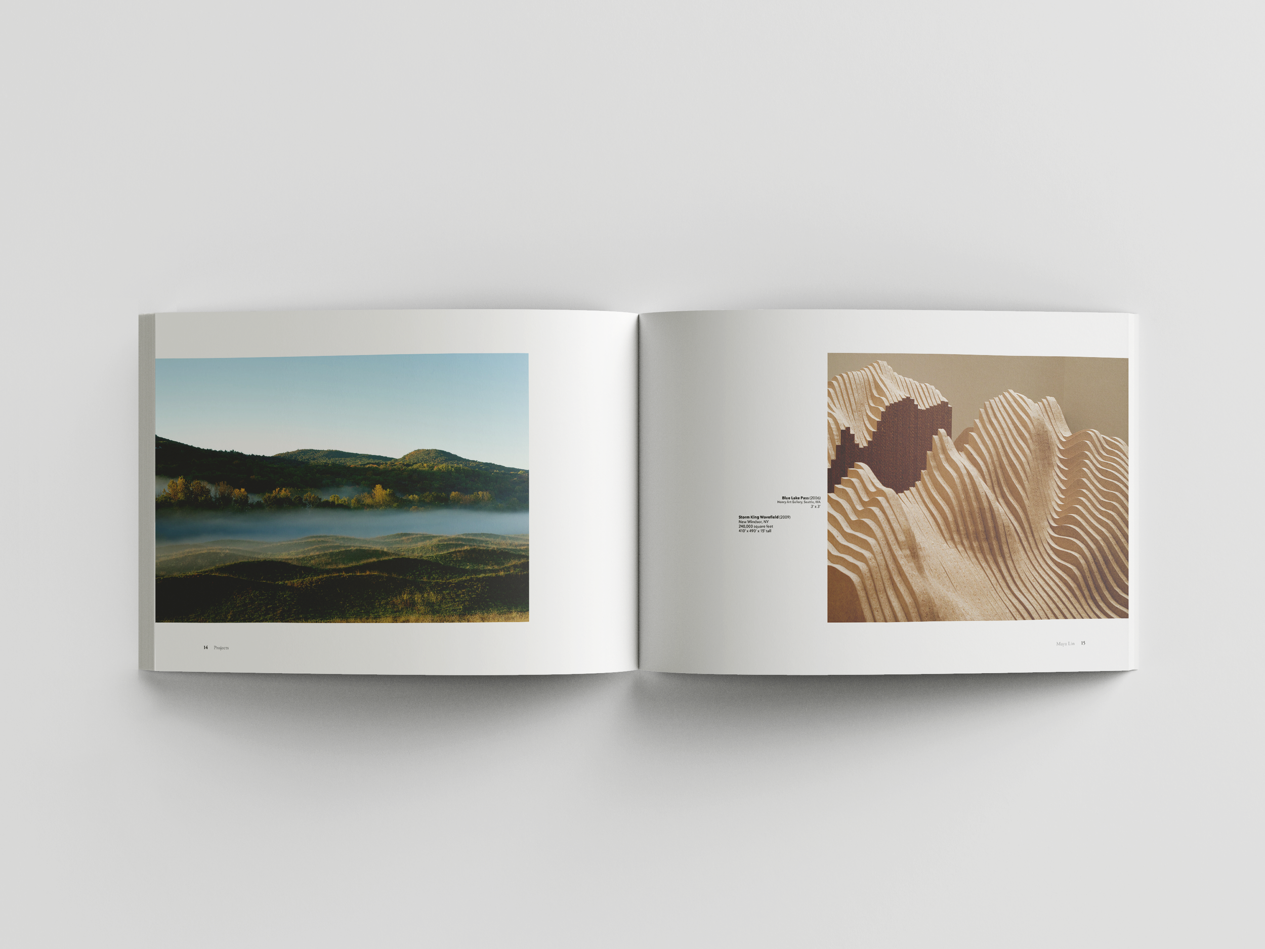 BookMockup_8.png