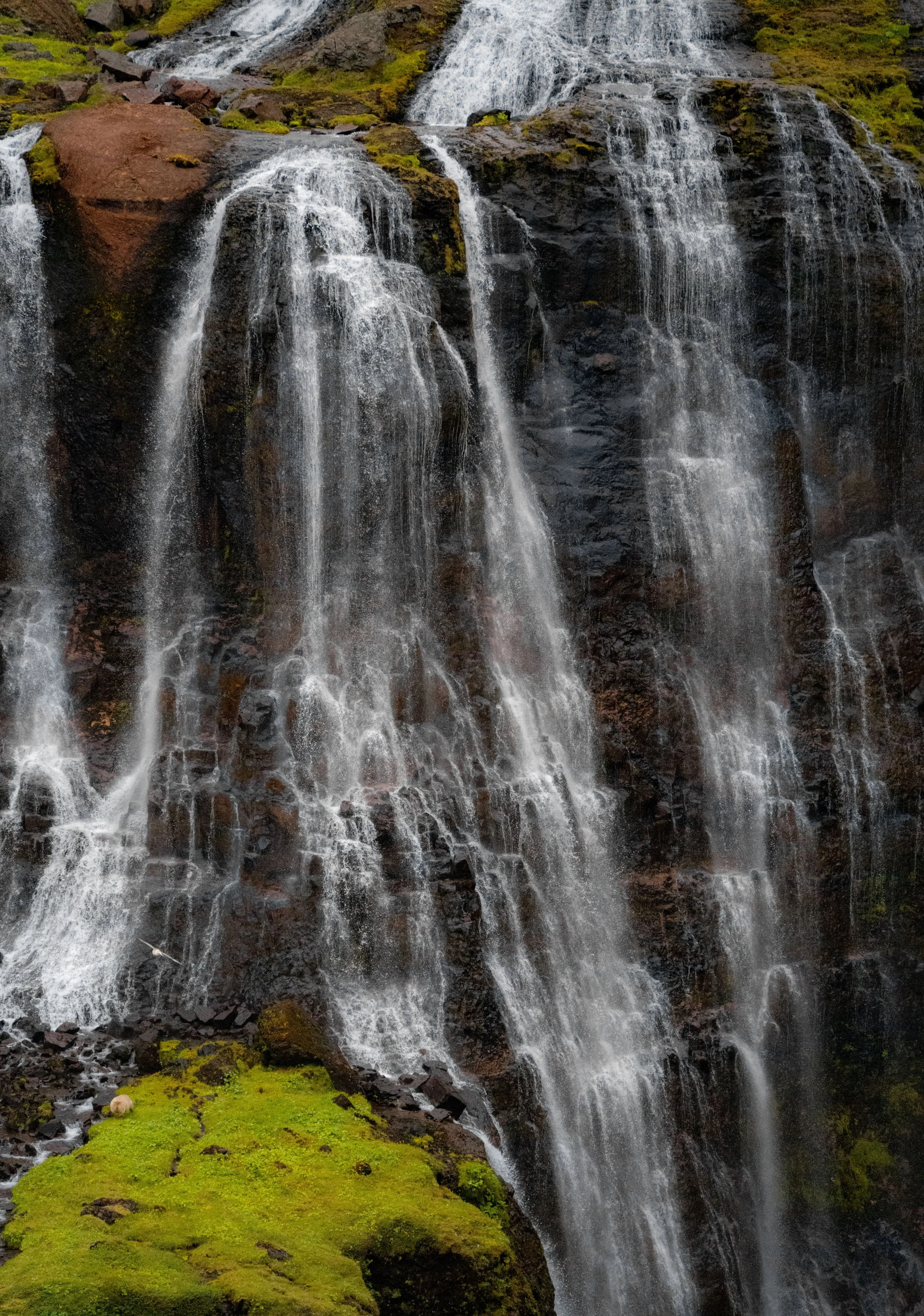 Canyon Waterfall 3.jpg