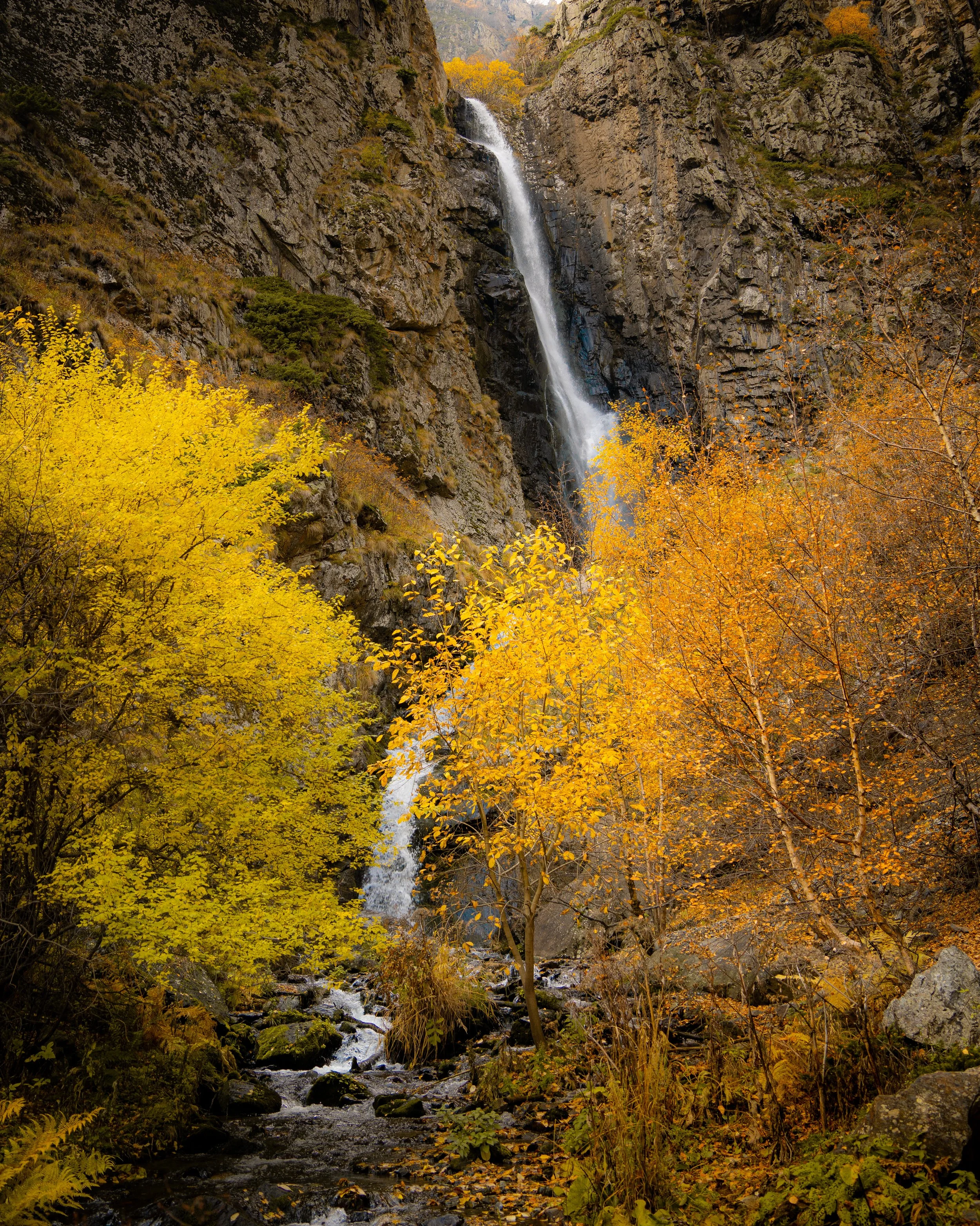 Ornamented Falls.jpg