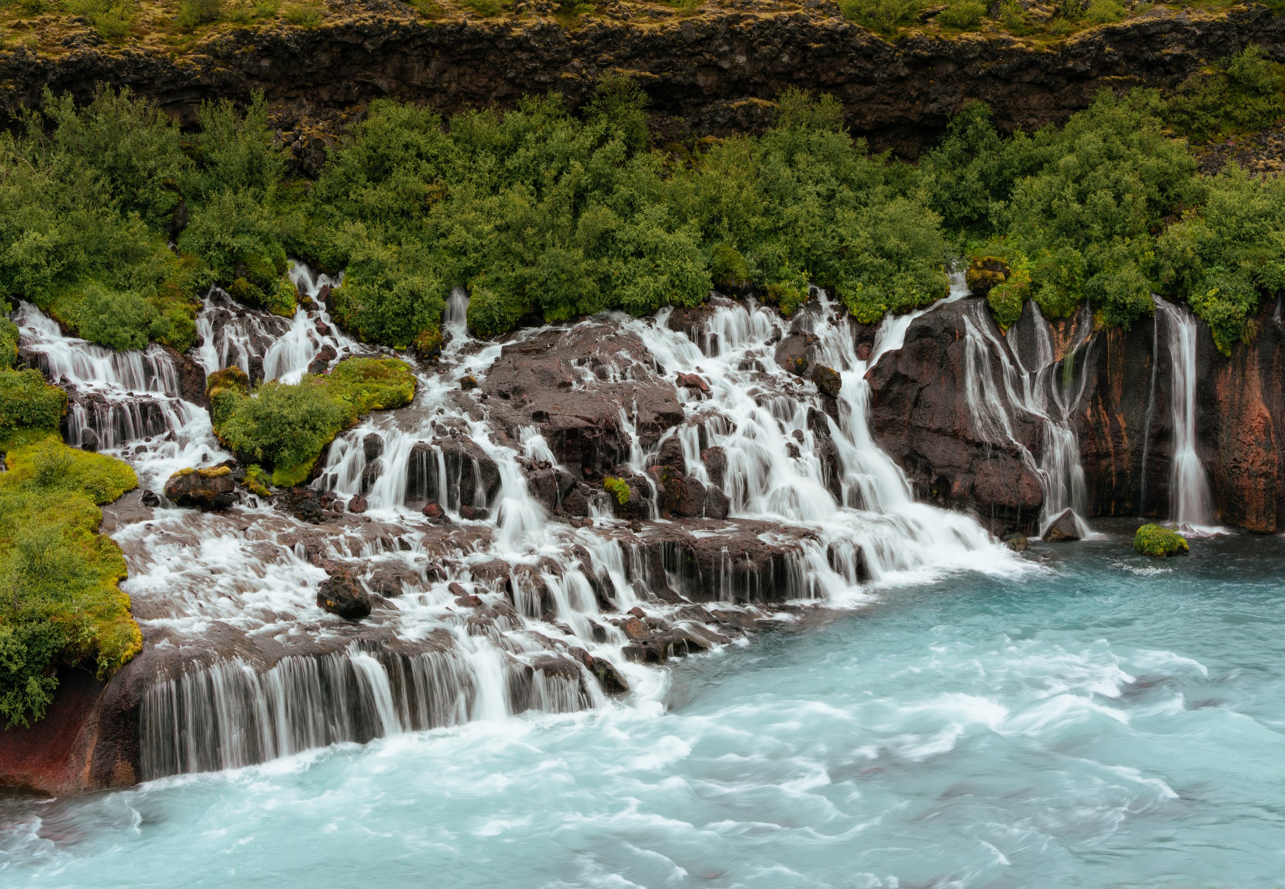 Rapids.jpg