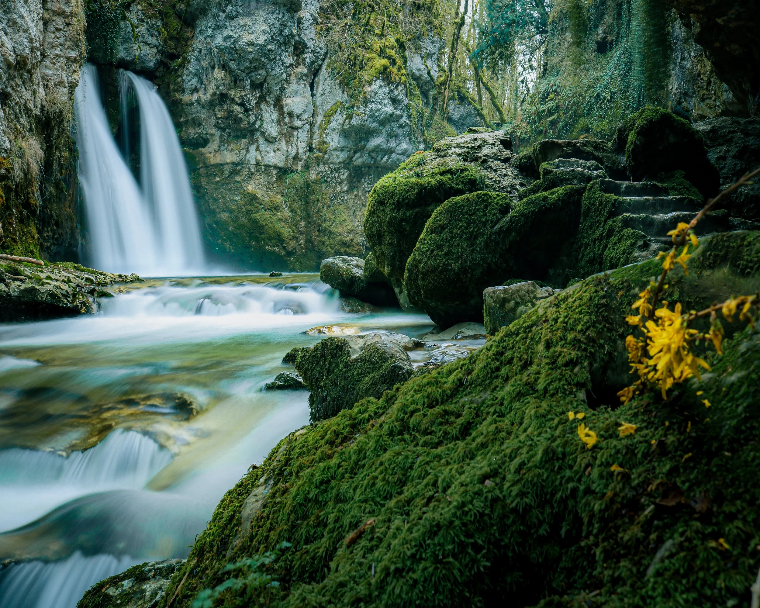 Tine de Conflens.jpg