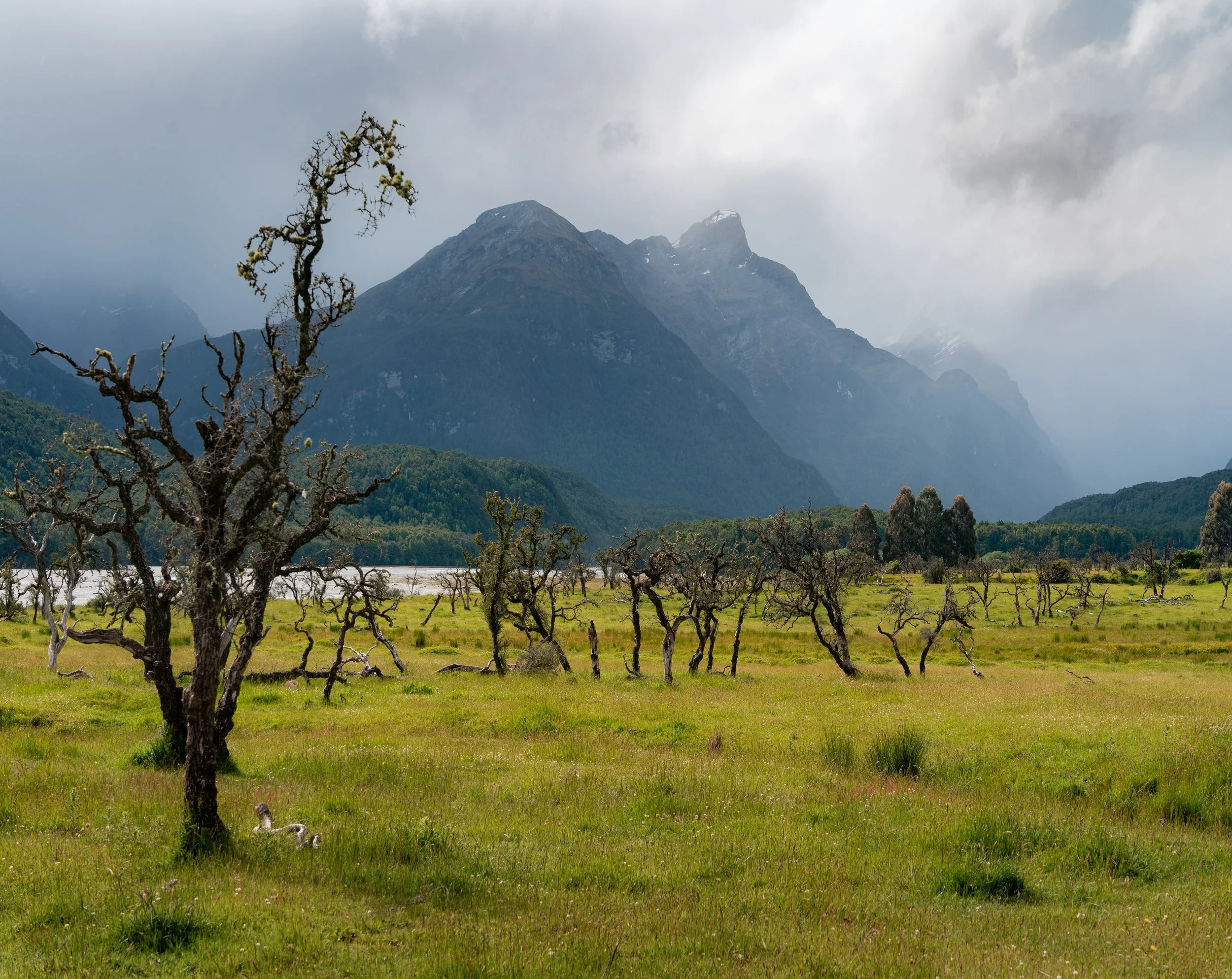 New Zealand