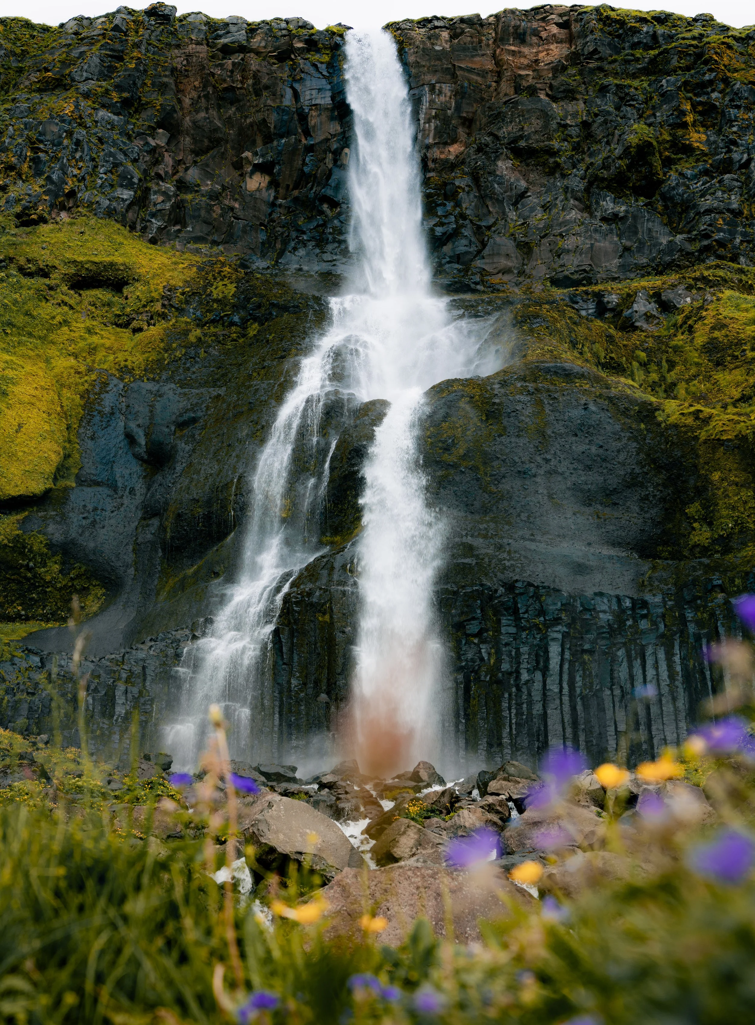 Waterfall with flowers-3.jpg