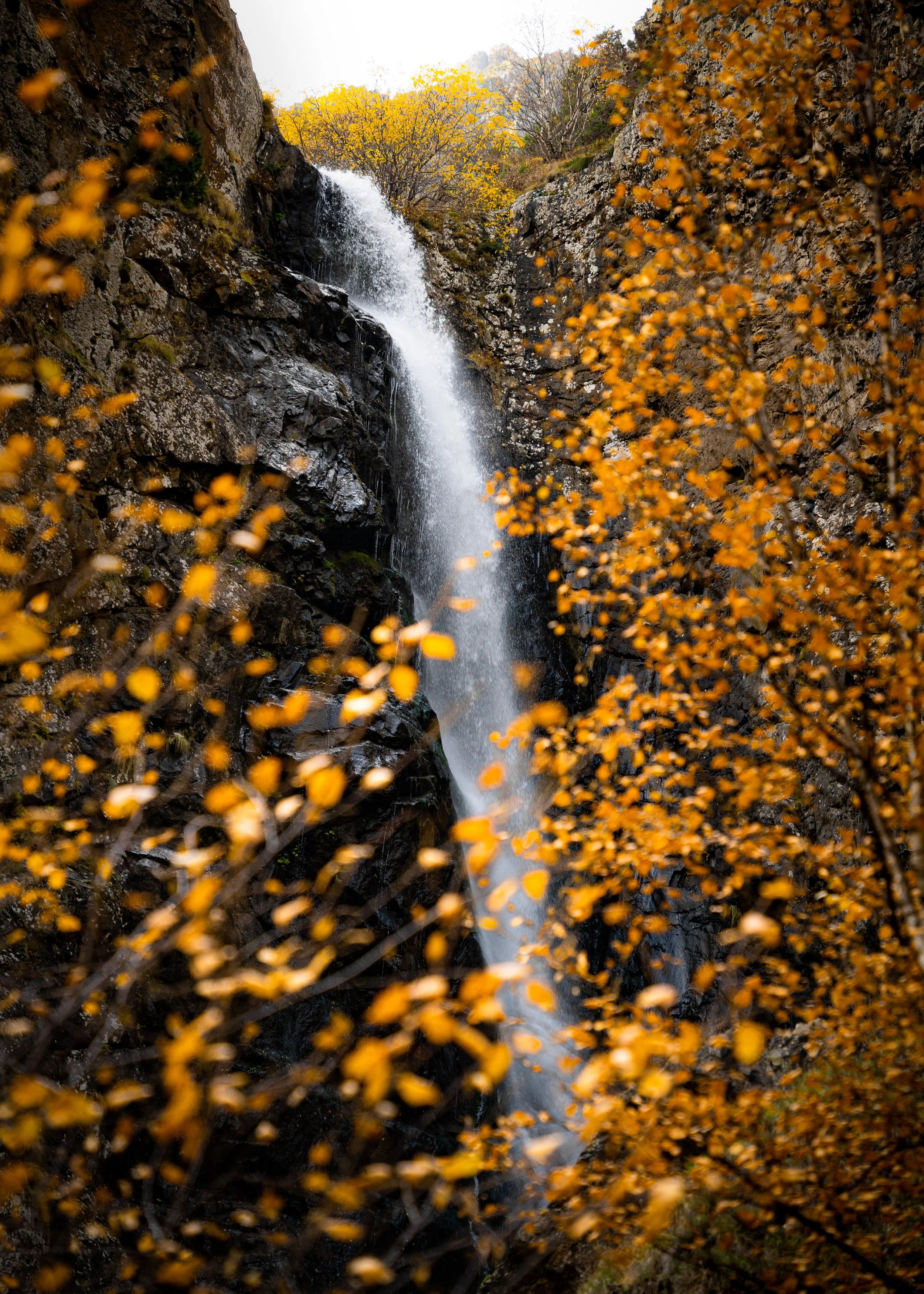 Golden waterfall.jpg