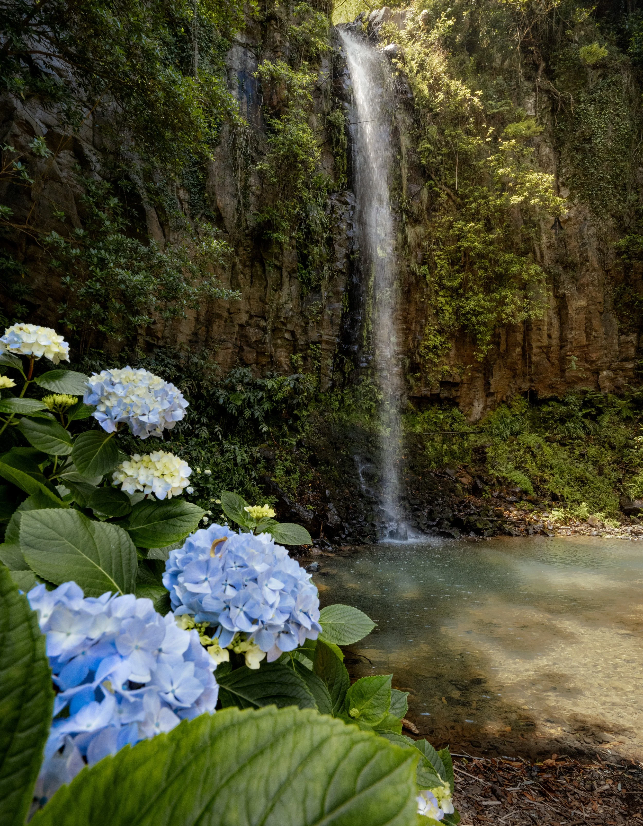 Hortensia Waterfall.jpg