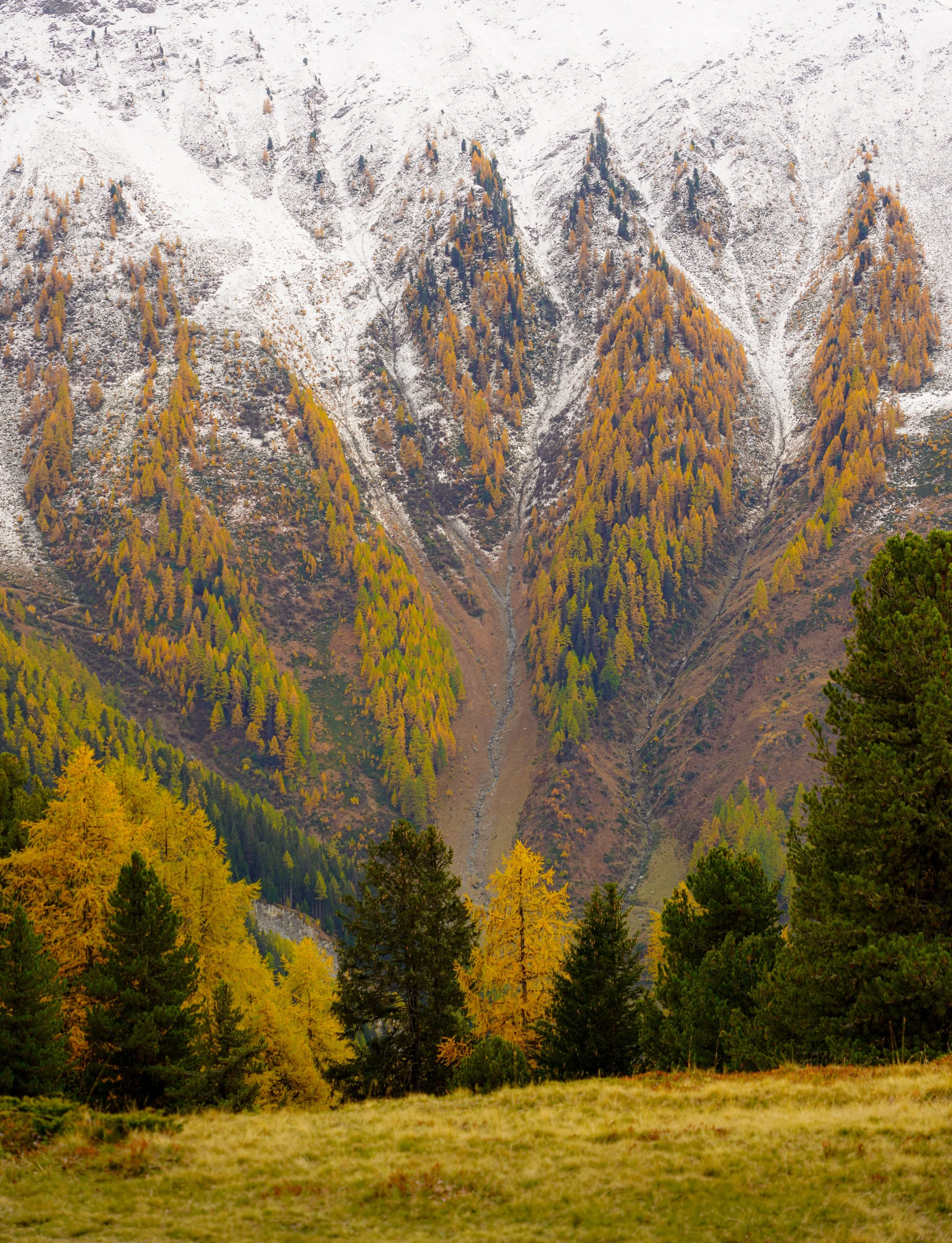 Falling colors.jpg