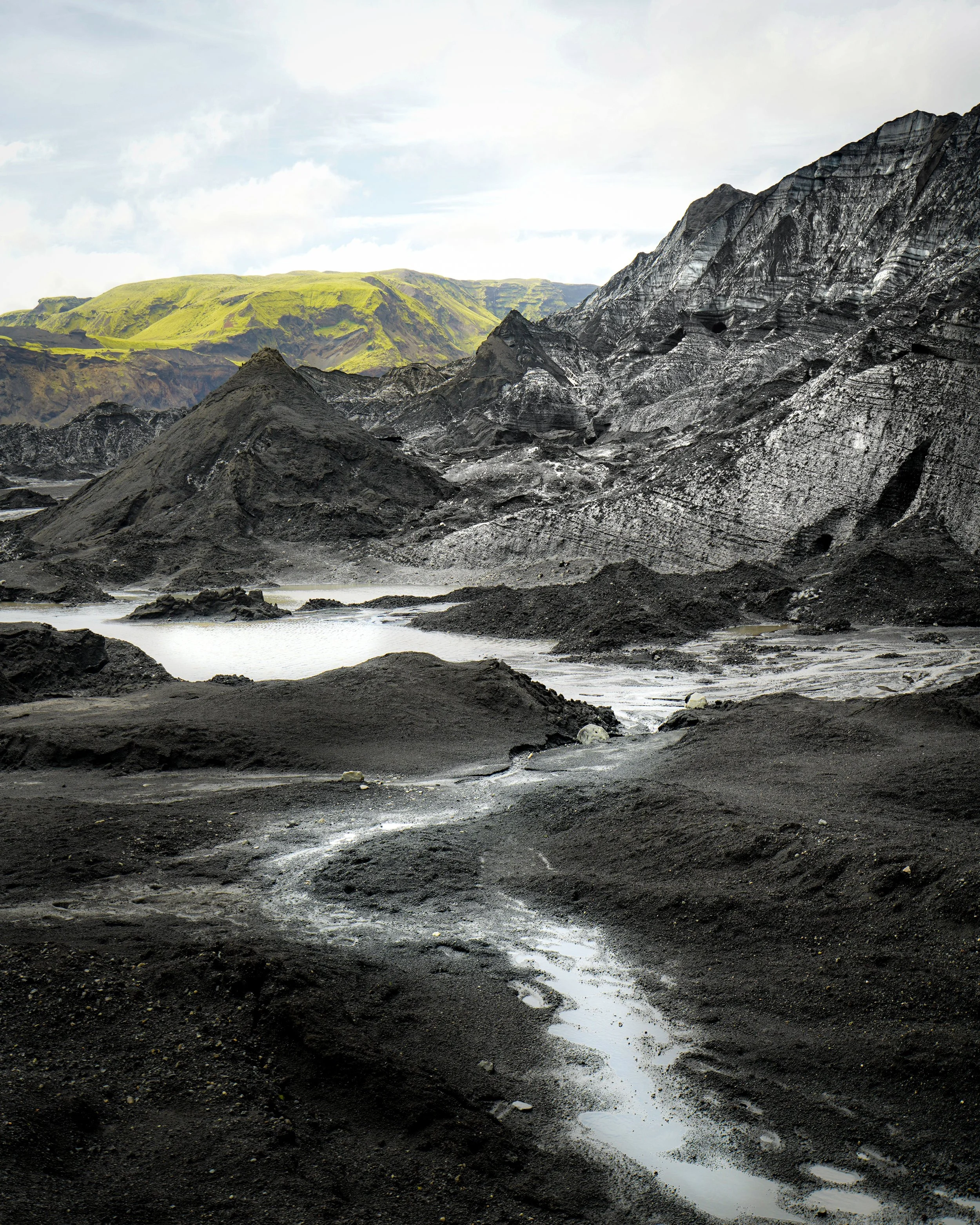 Black White and Green.jpg