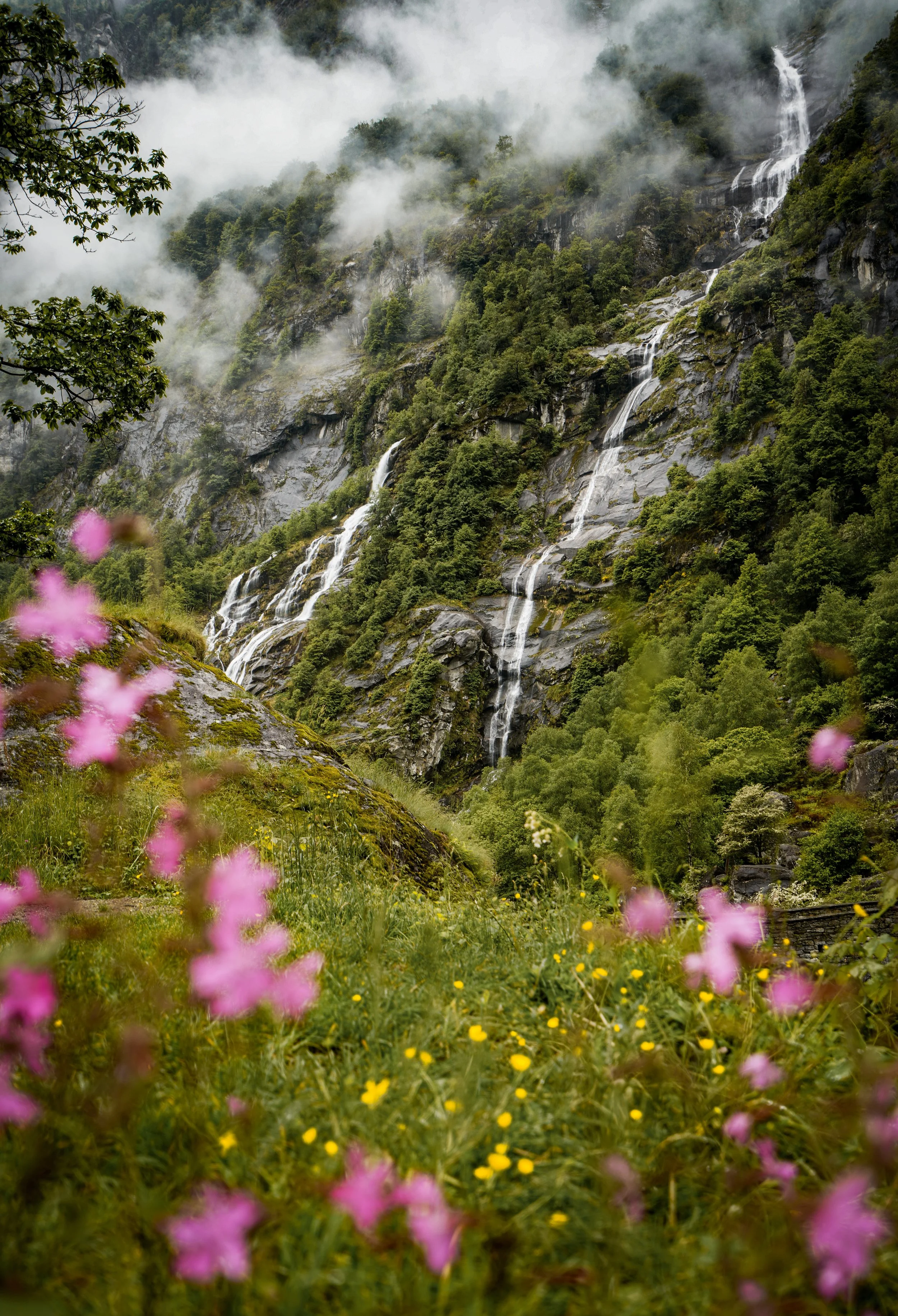Ticino waterfalls.jpg