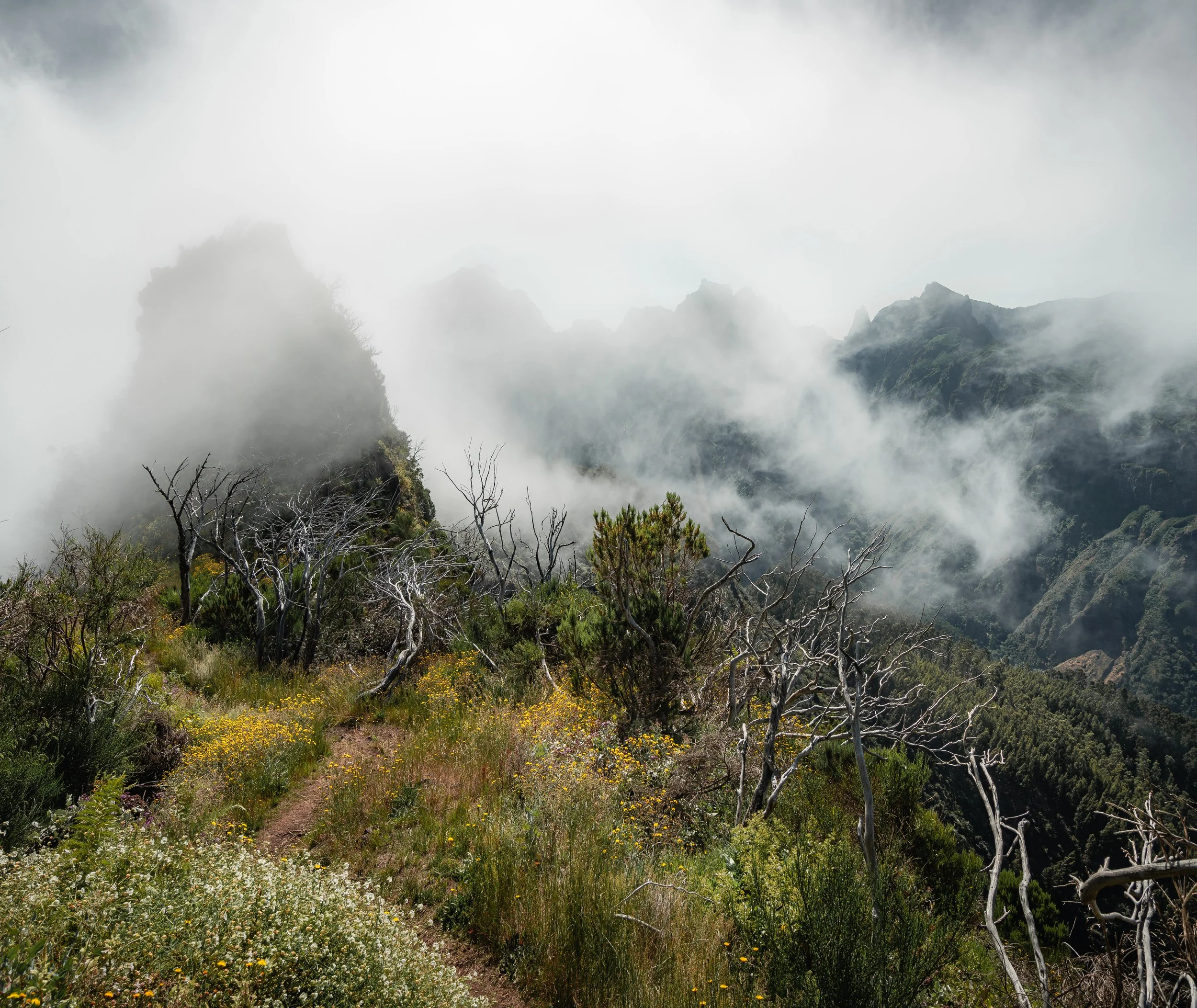 Misty Hike.jpg