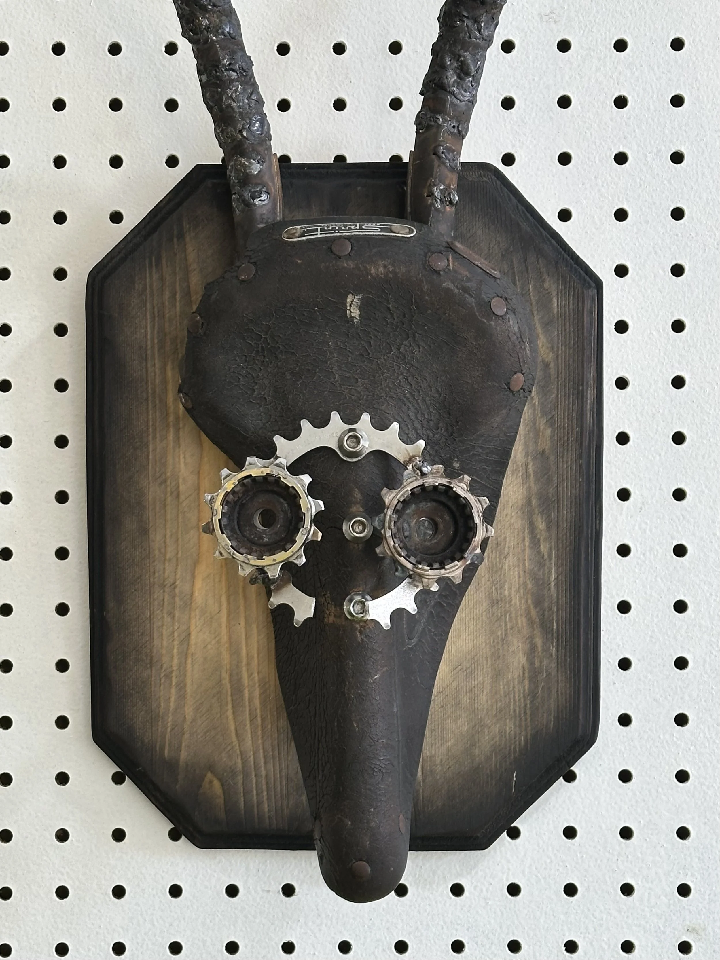 image3.jpeg