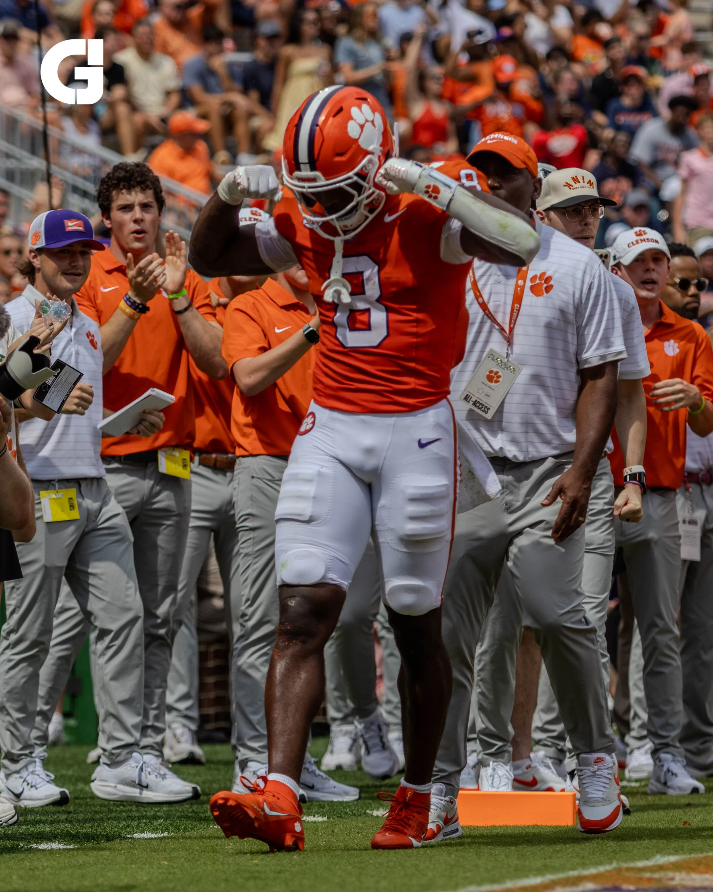 WHERE DO THE TIGERS GO FROM HERE