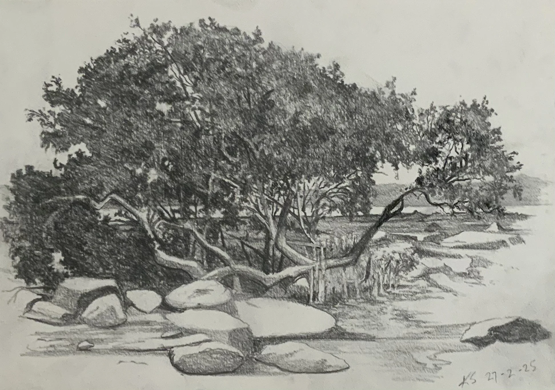 Broulee Island 2025. 21cm x 30cm. Pencil on paper.