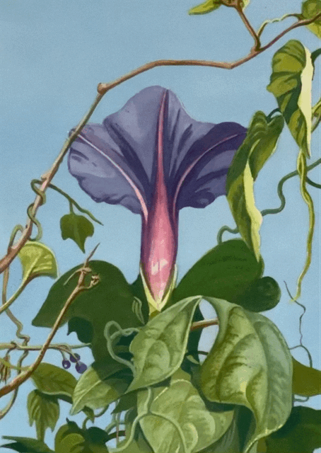 30cm x 21cm. Watercolour