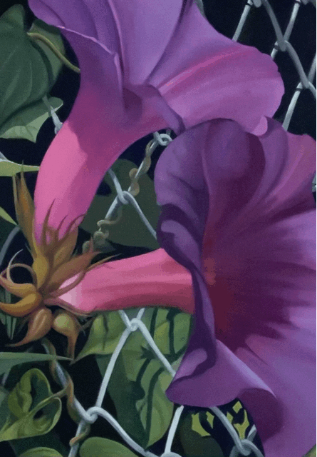 Glory of the Morning. 59cm x 42cm. Oil on canvas.