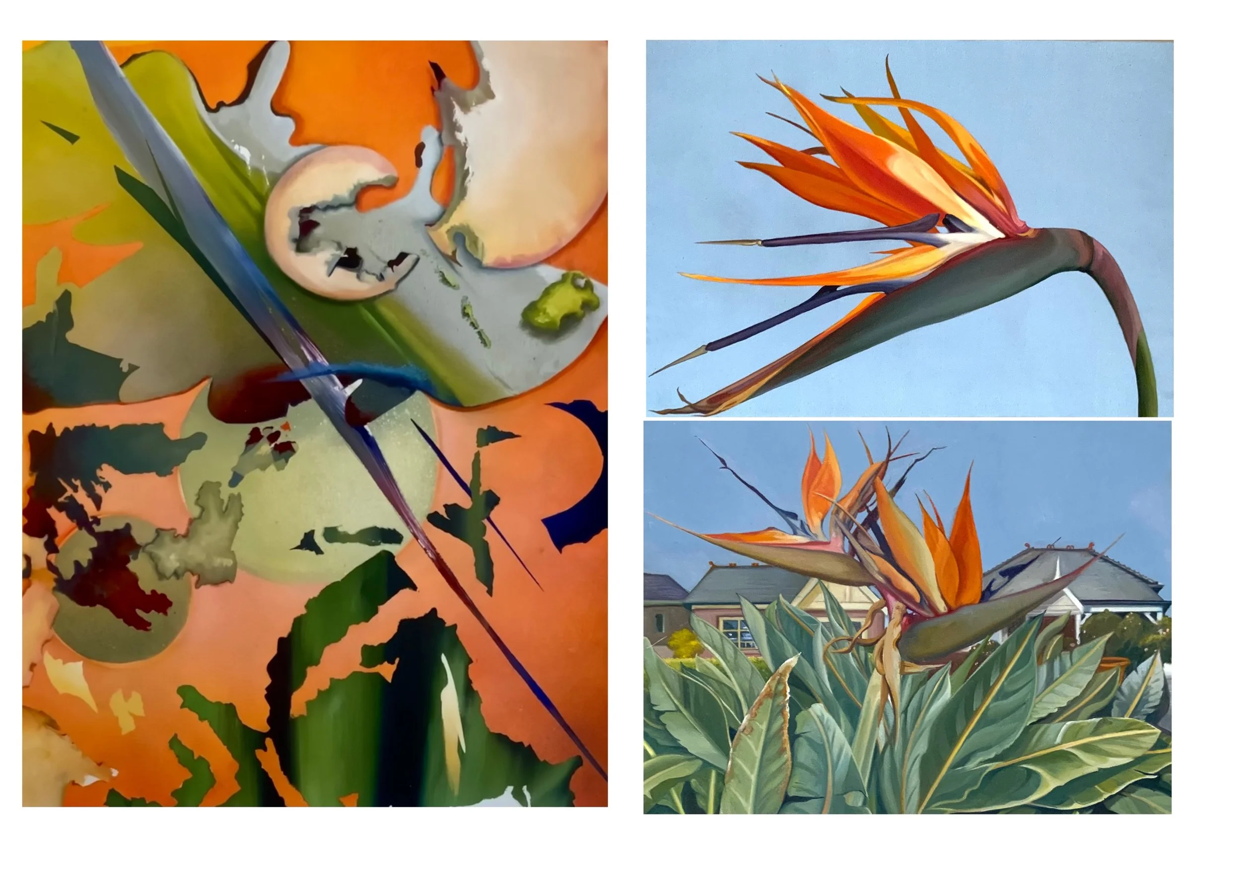 1. Strelizia nicolai 3 59cm x 42cm. Oil on canvas.    2. Strelitzia nicolai 1. 42cm x 59 cm. Oil on canvas.    3. Strelizia nicolai 2 (Front Yard)