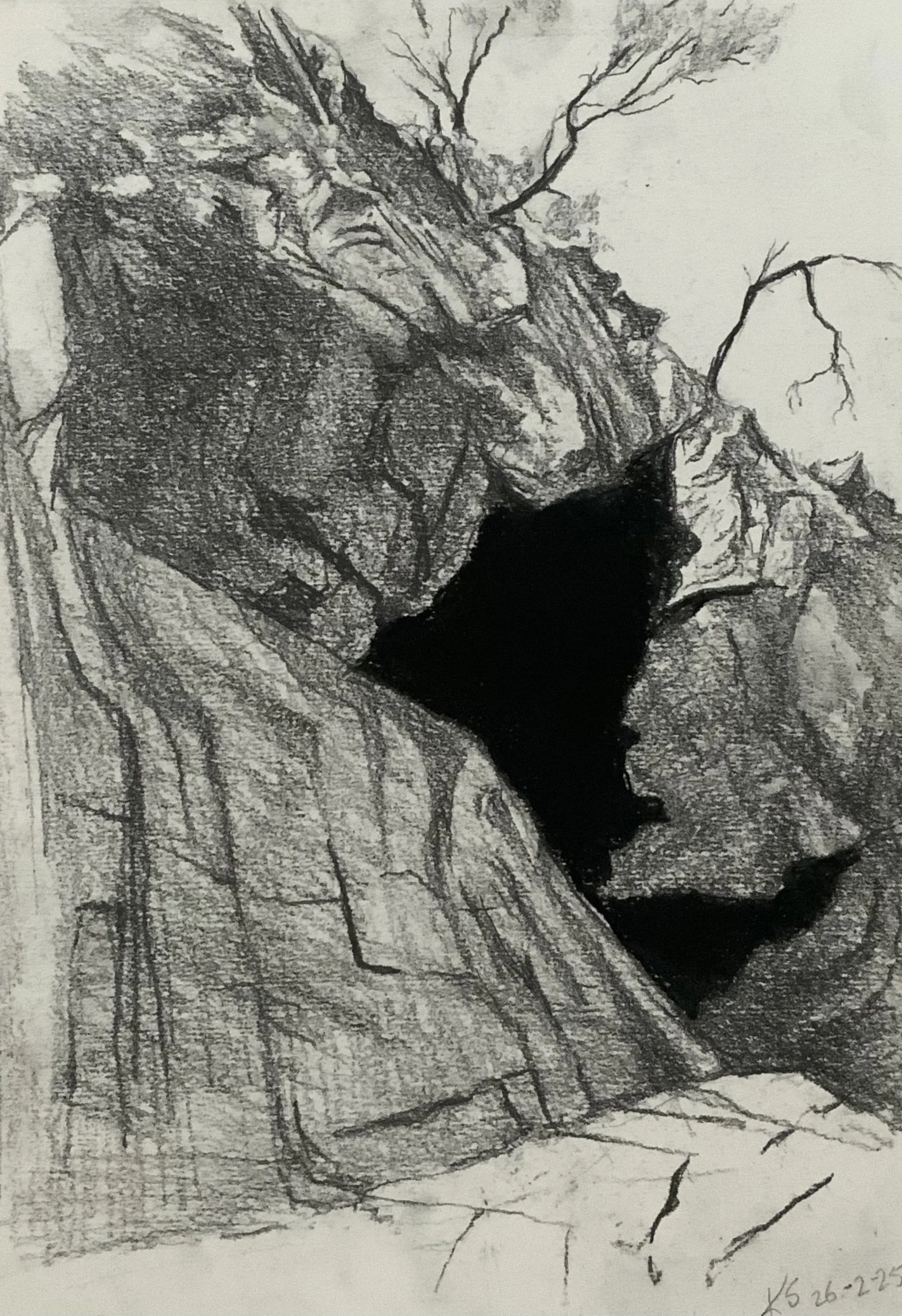 Guerrilla Bay 1. 30cm x 21cm. Charcoal and pencil on paper.