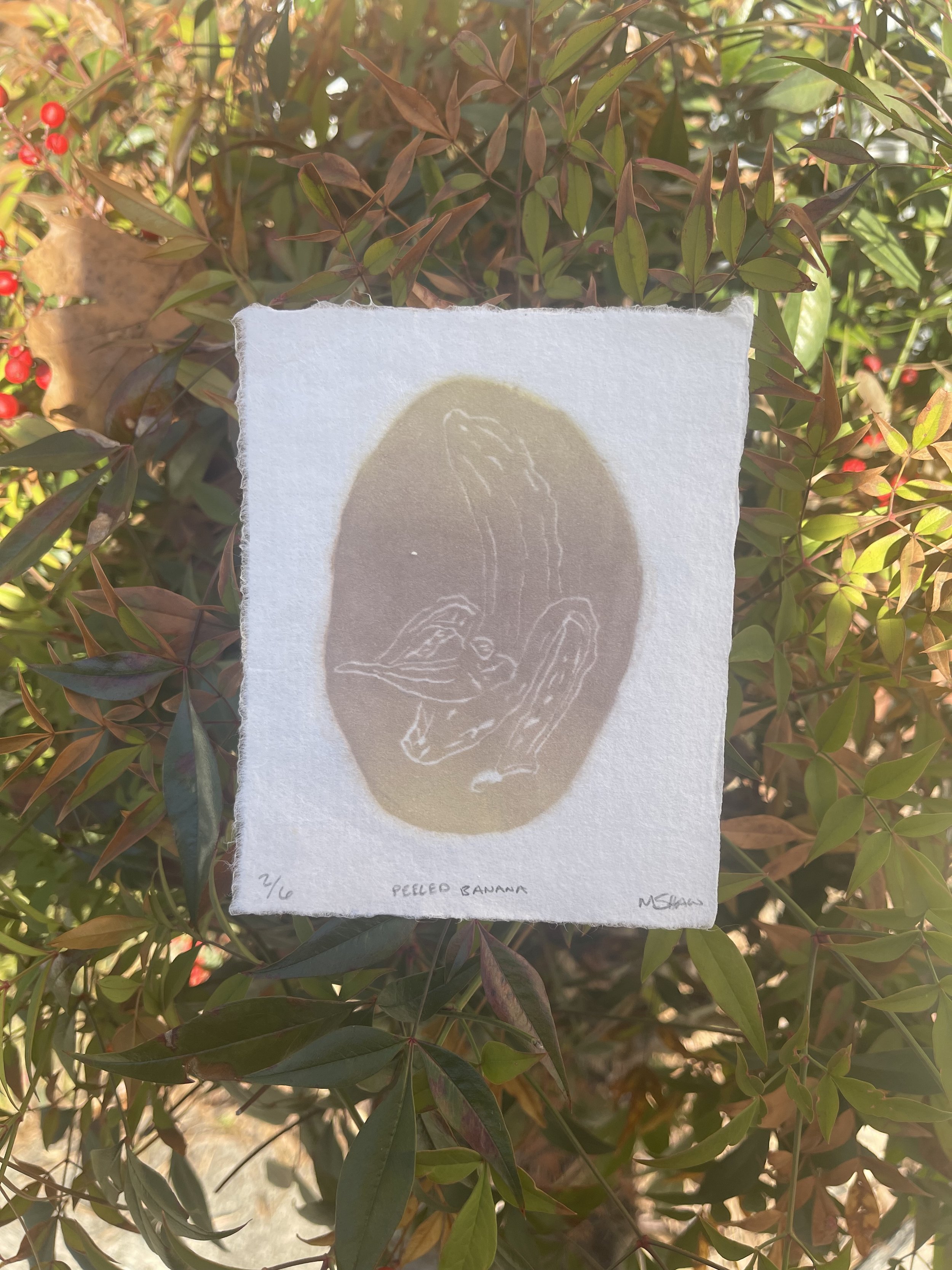 Peeled Banana 4"x5"
