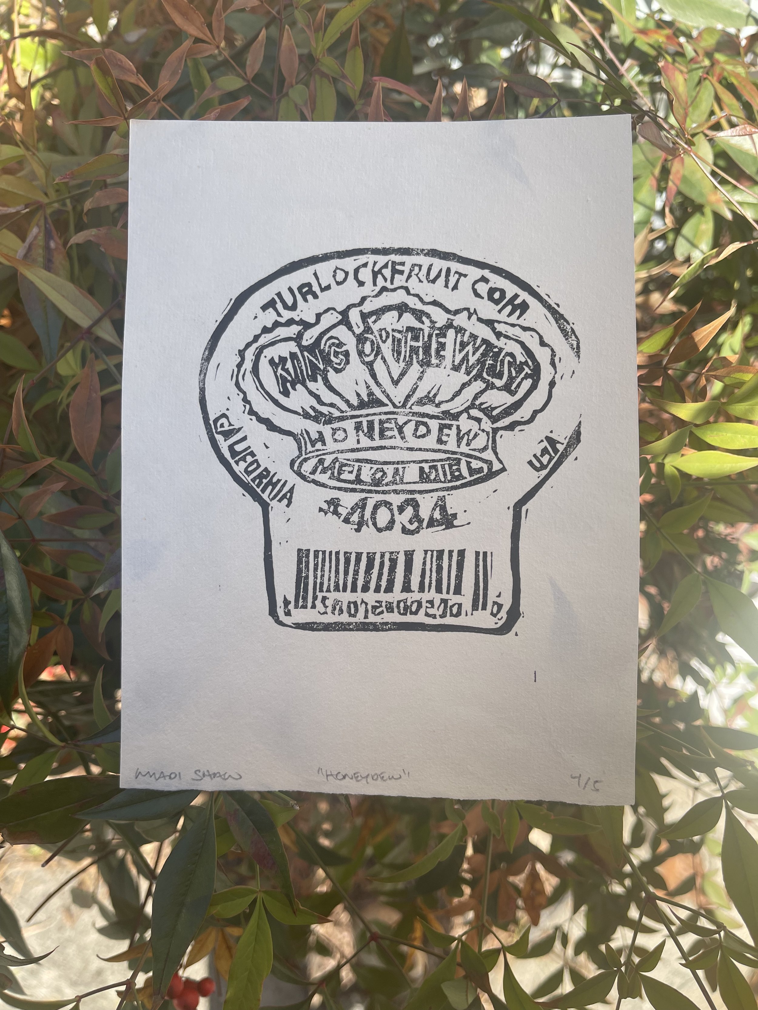 Honeydew 5"x7"