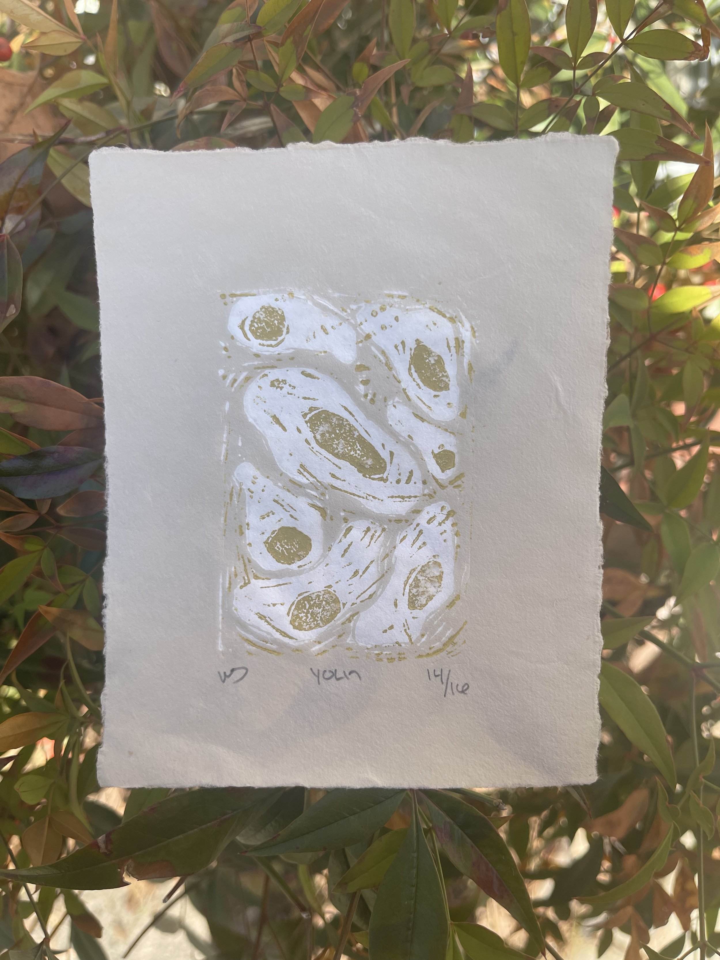 Yolk 4"x5"