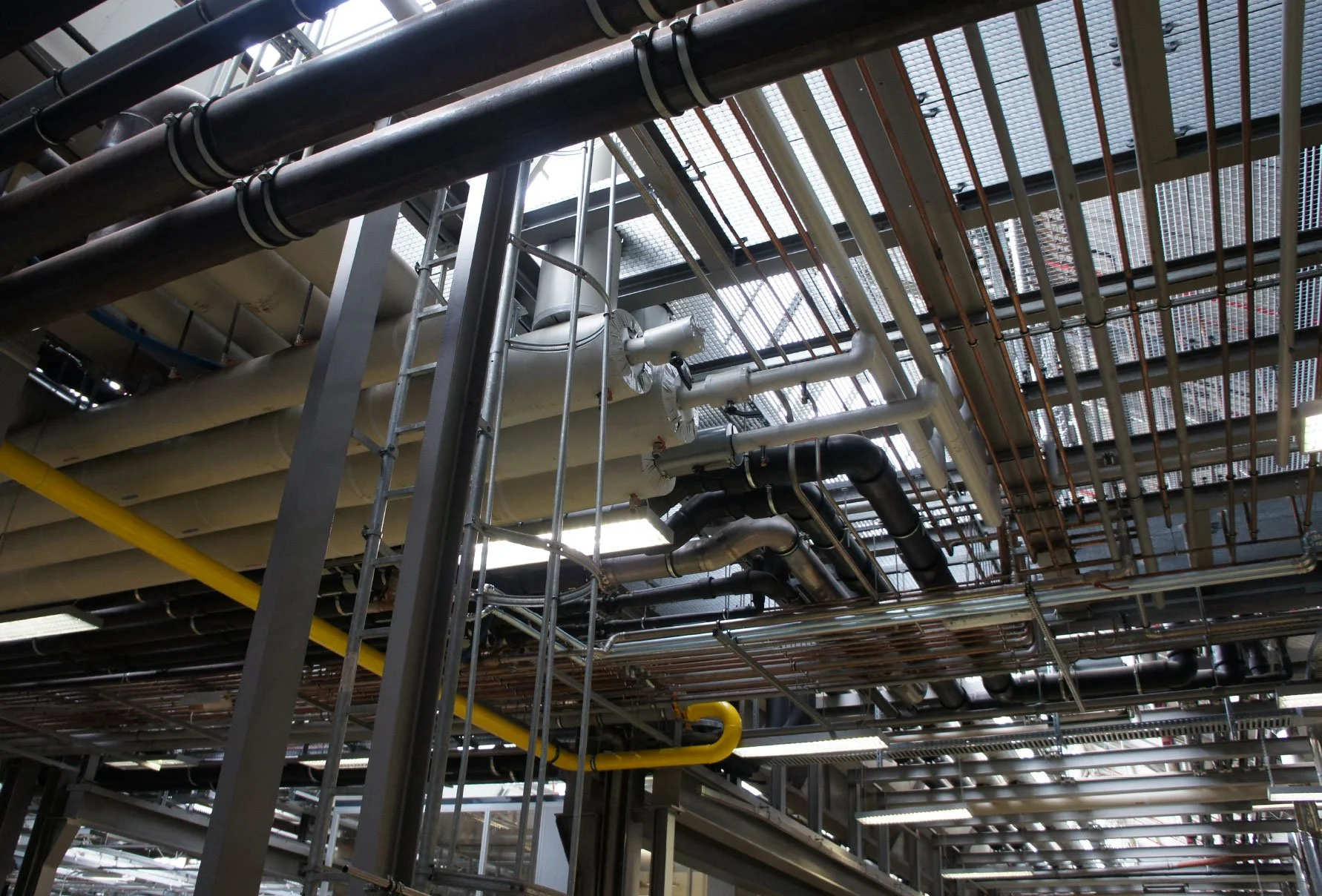 Untitled-design-(1).jpg?format=original