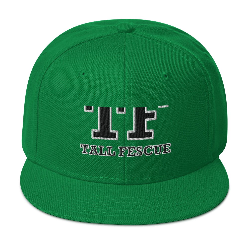 snapback-kelly-green-front-671d8086de5ee.jpg