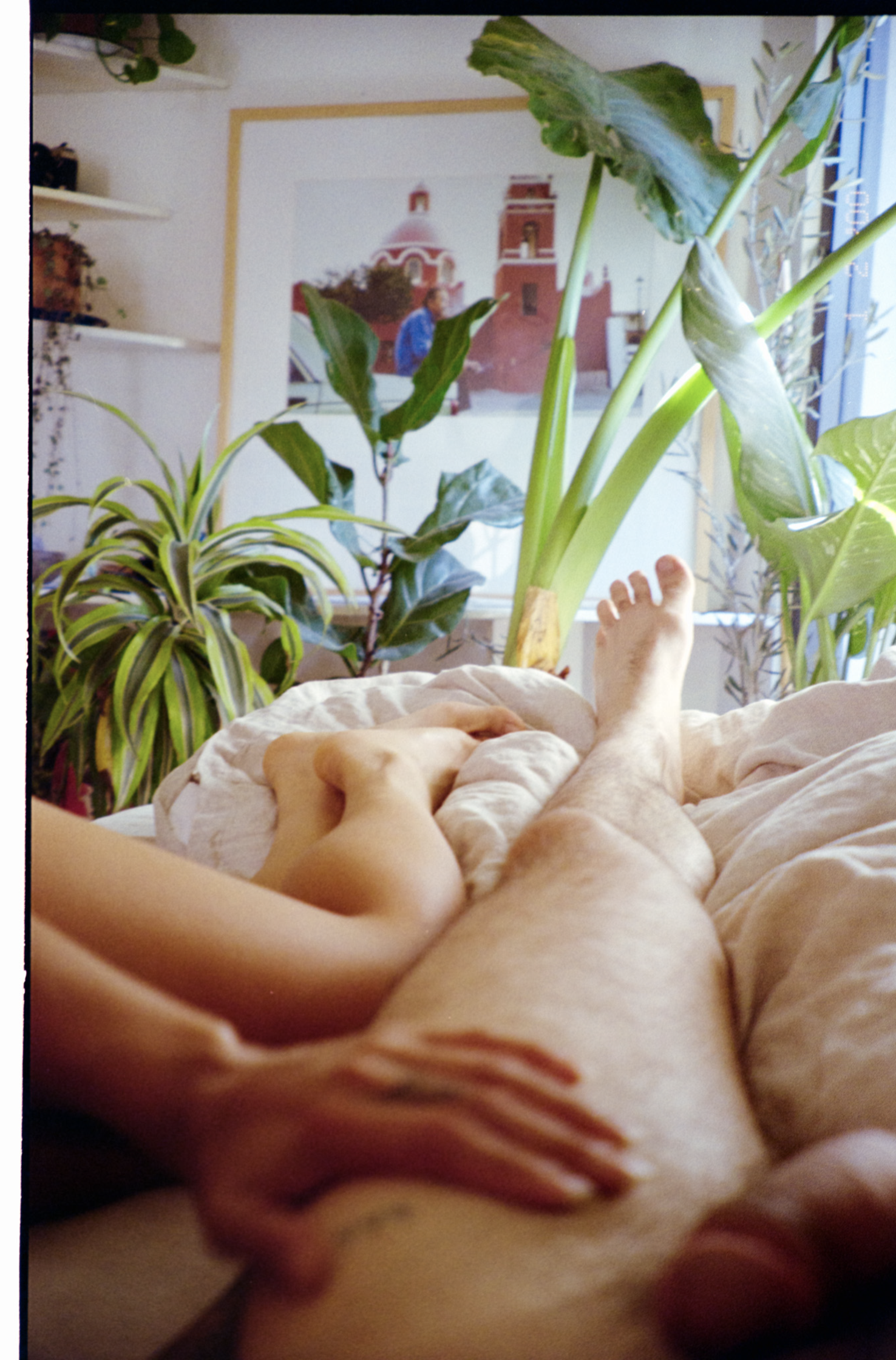 Screenshot 2025-12-07 at 3.45.35 PM.png