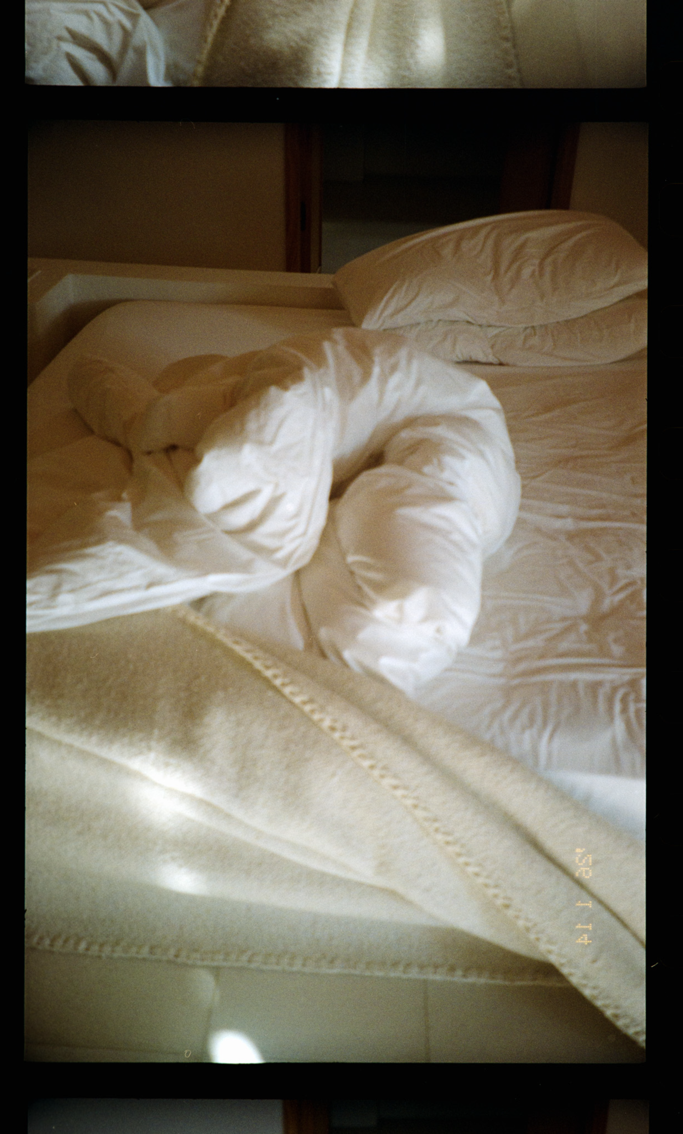 Screenshot 2026-01-30 at 9.03.34 AM.png