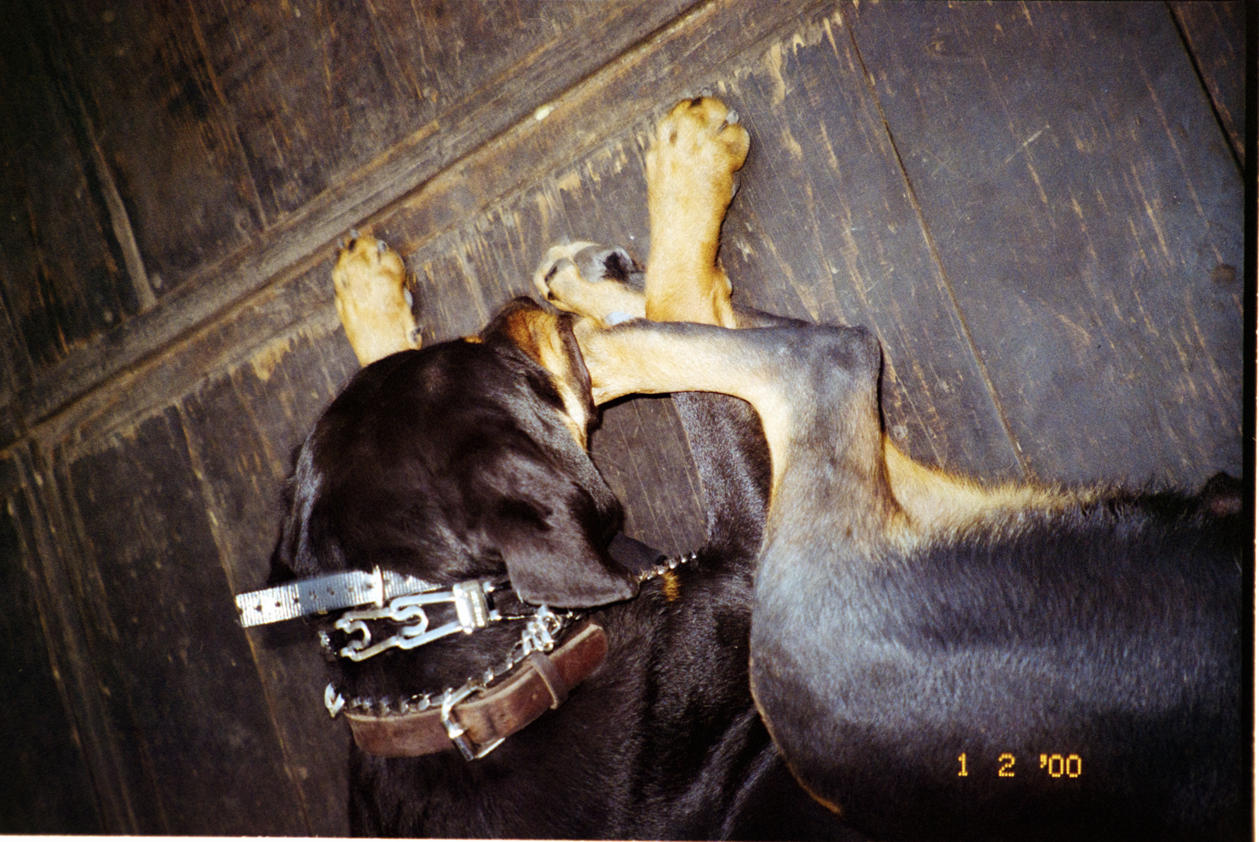 Screenshot 2025-12-07 at 3.46.37 PM.png