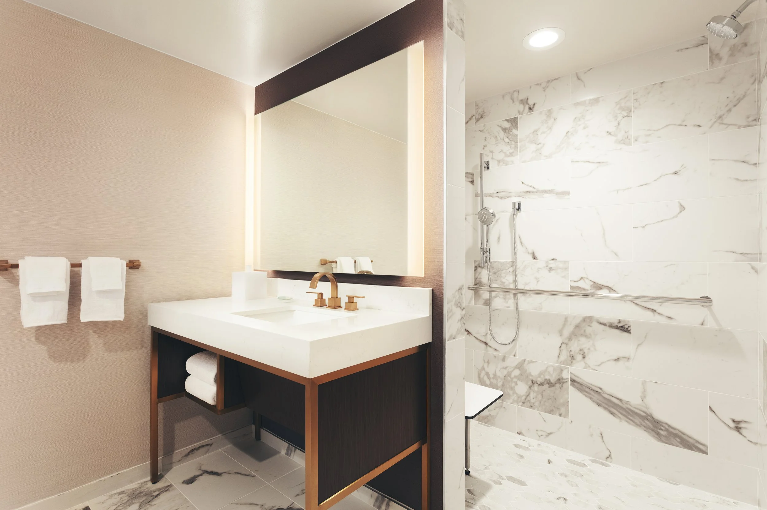 Bathroom ADA Roll-in copy.jpg