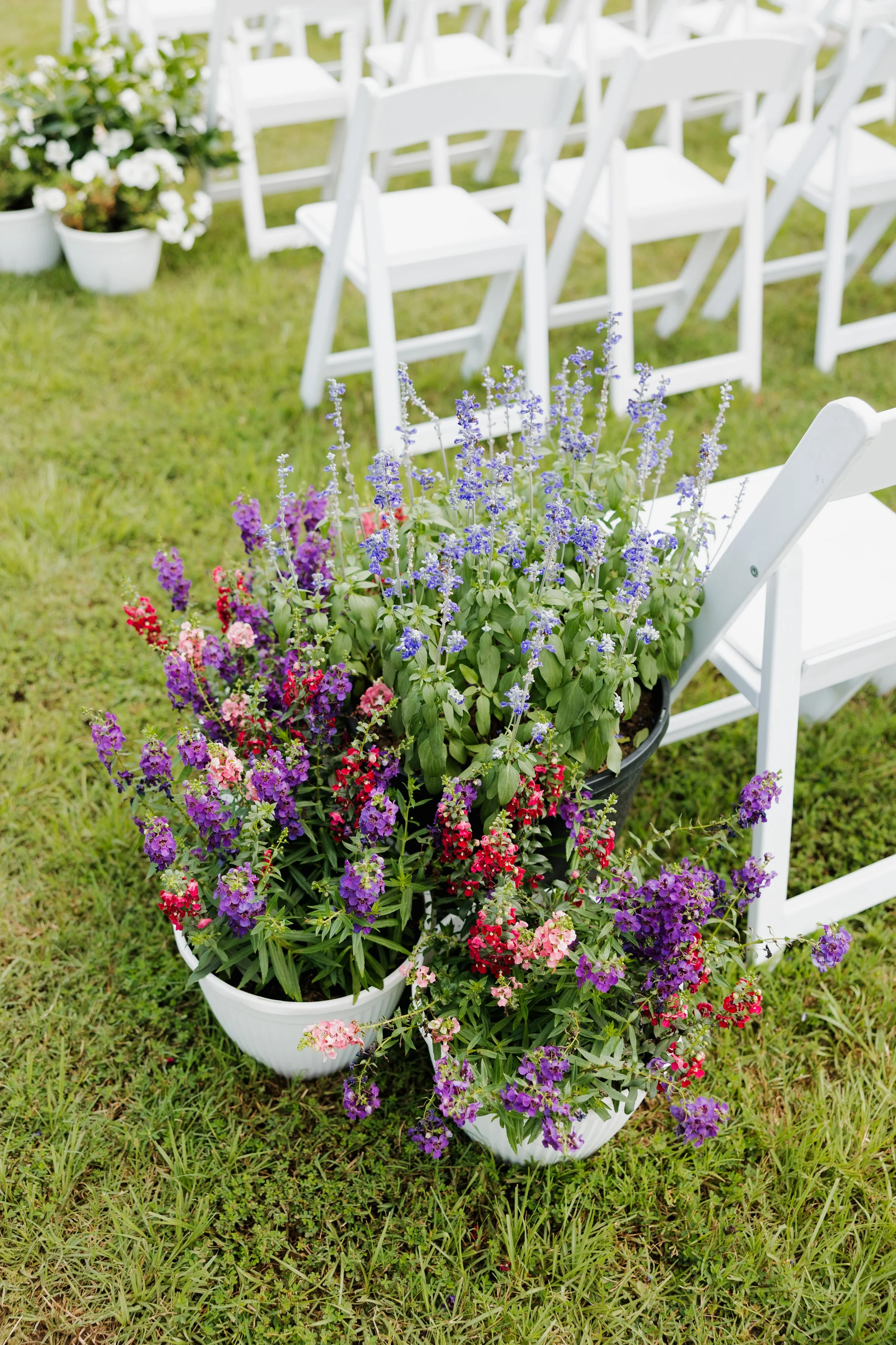 White folding chairs arranged on grass with colorful potted flowers in front.