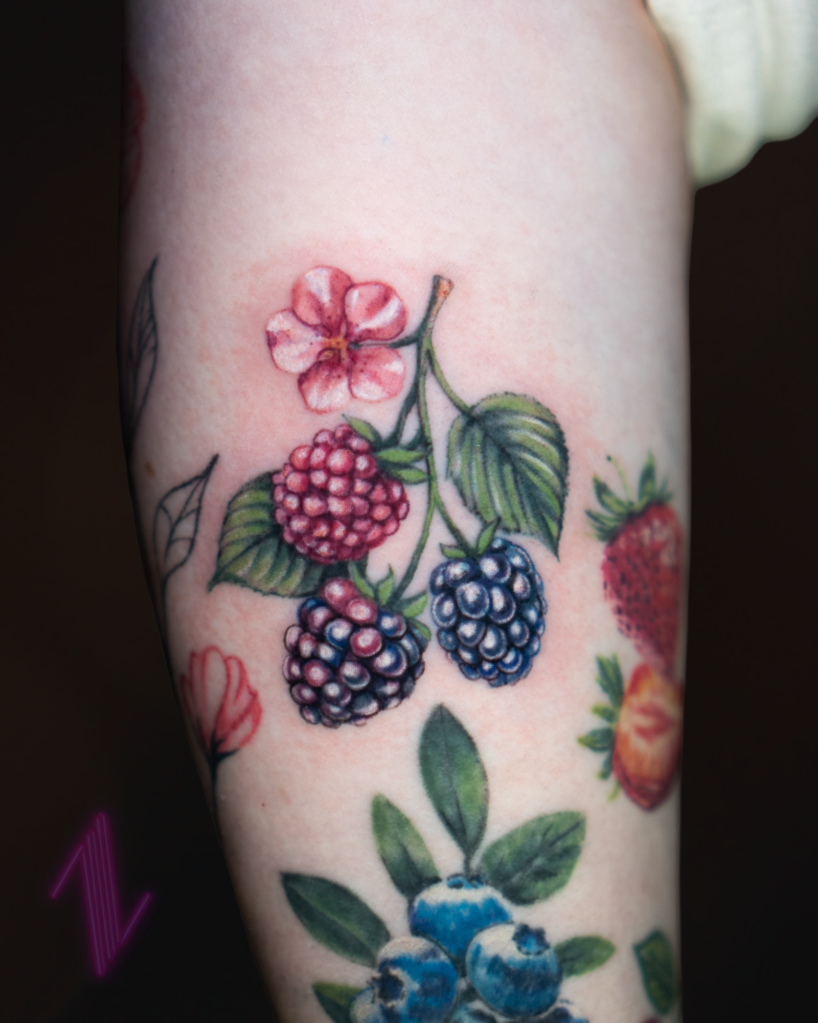 Colorful tattoo of blackberries, a pink flower, and green leaves on a person's arm.