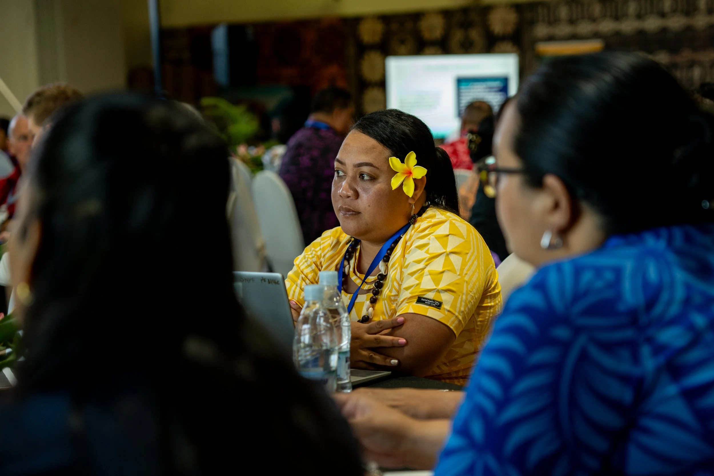 PIIF CEO FORUM Vanuatu Day1-66.jpg