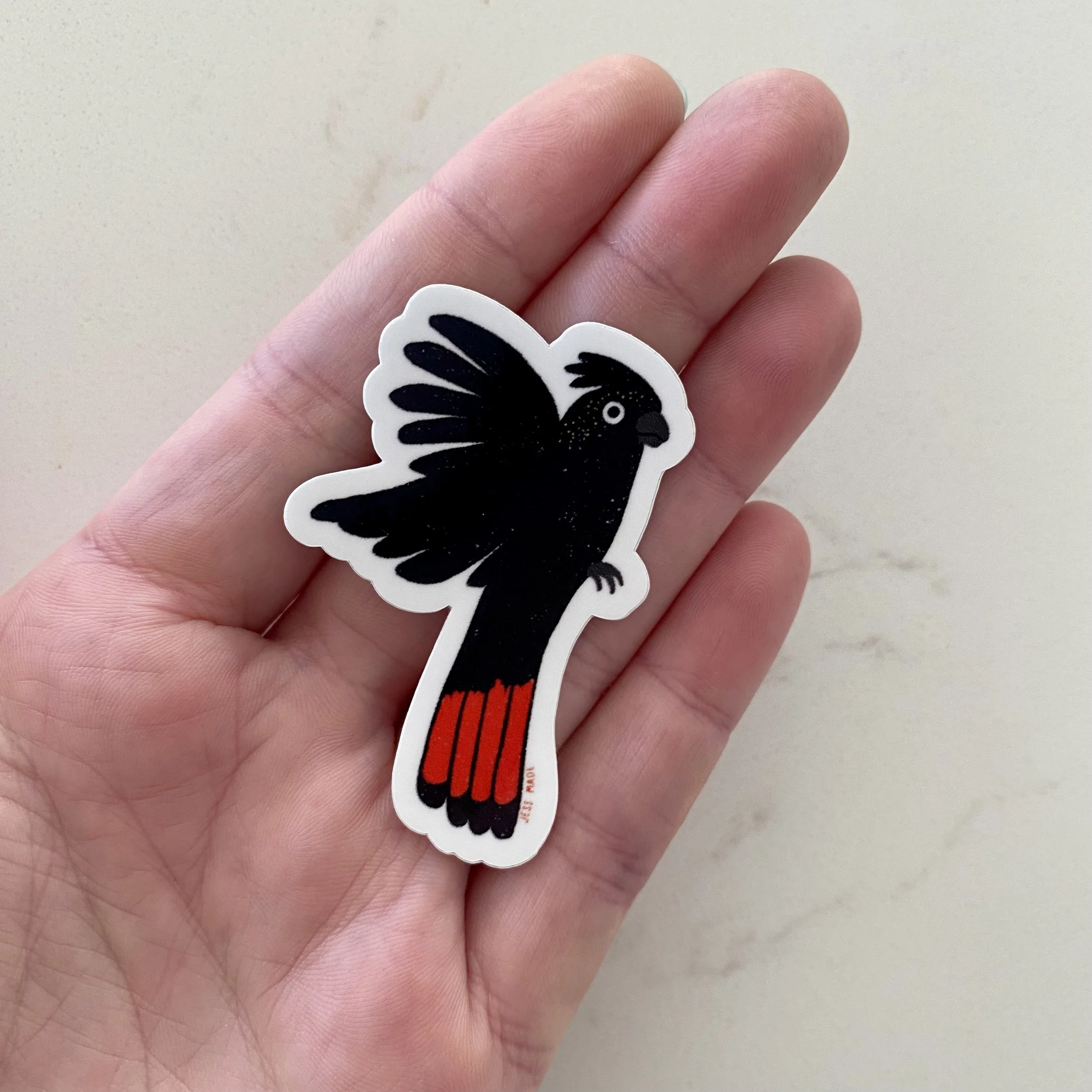 Red Tailed Black Cockatoo Sticker