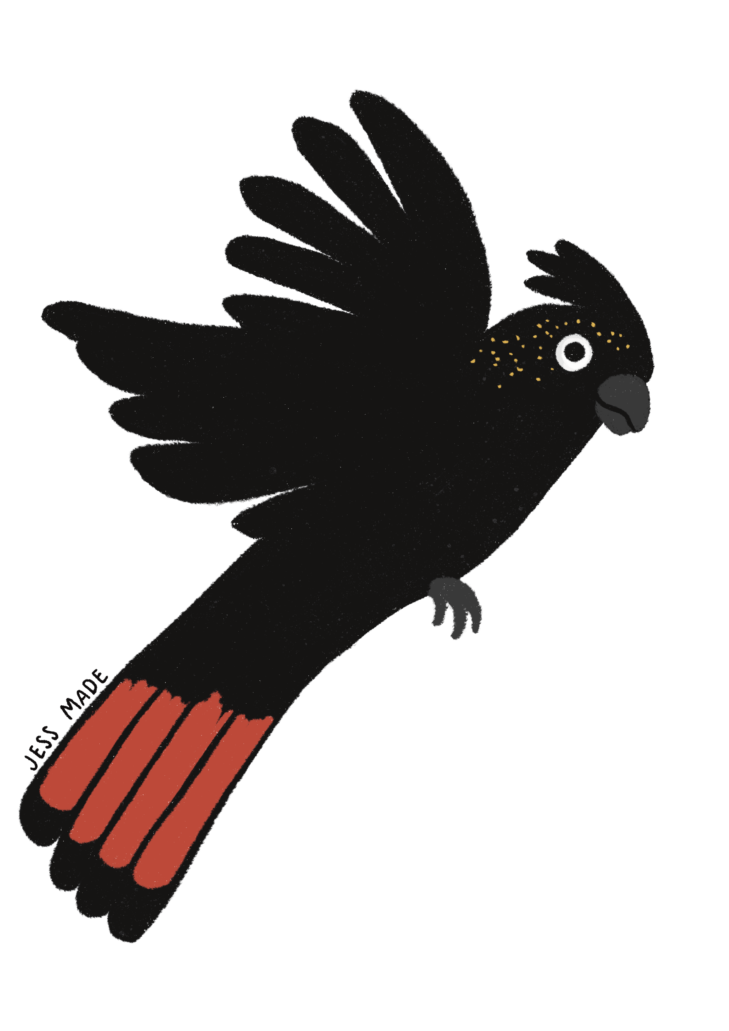 Red tailed cockatoo logo.png