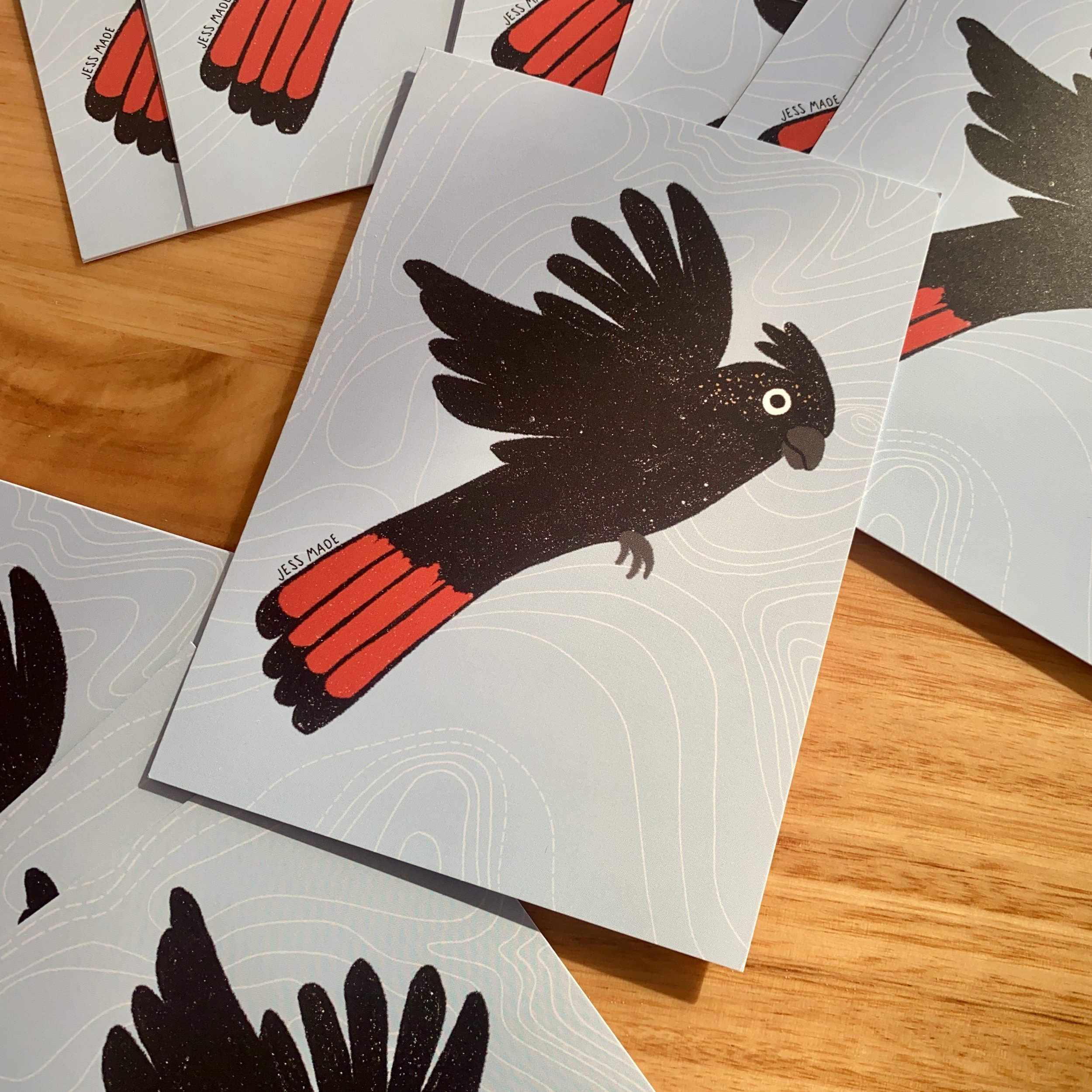 Red Tailed Black Cockatoo Postcard