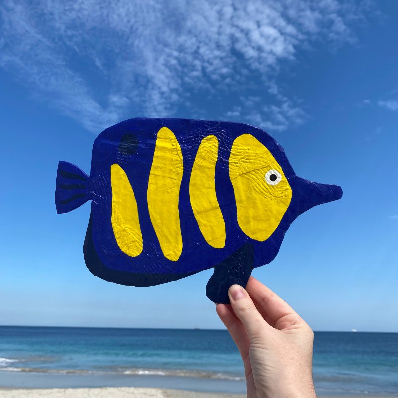 Monty Fish