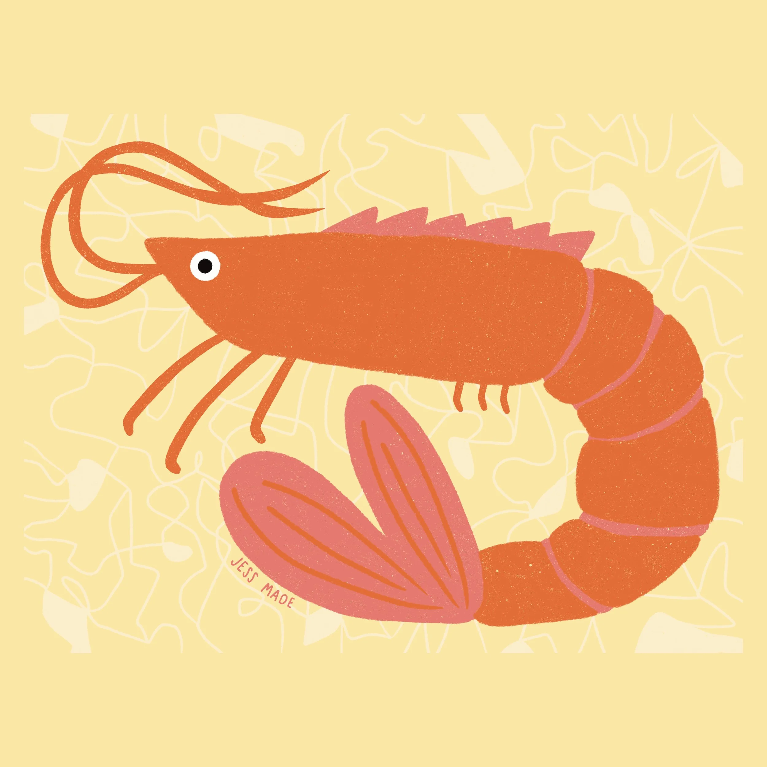 pippa illo website.jpg