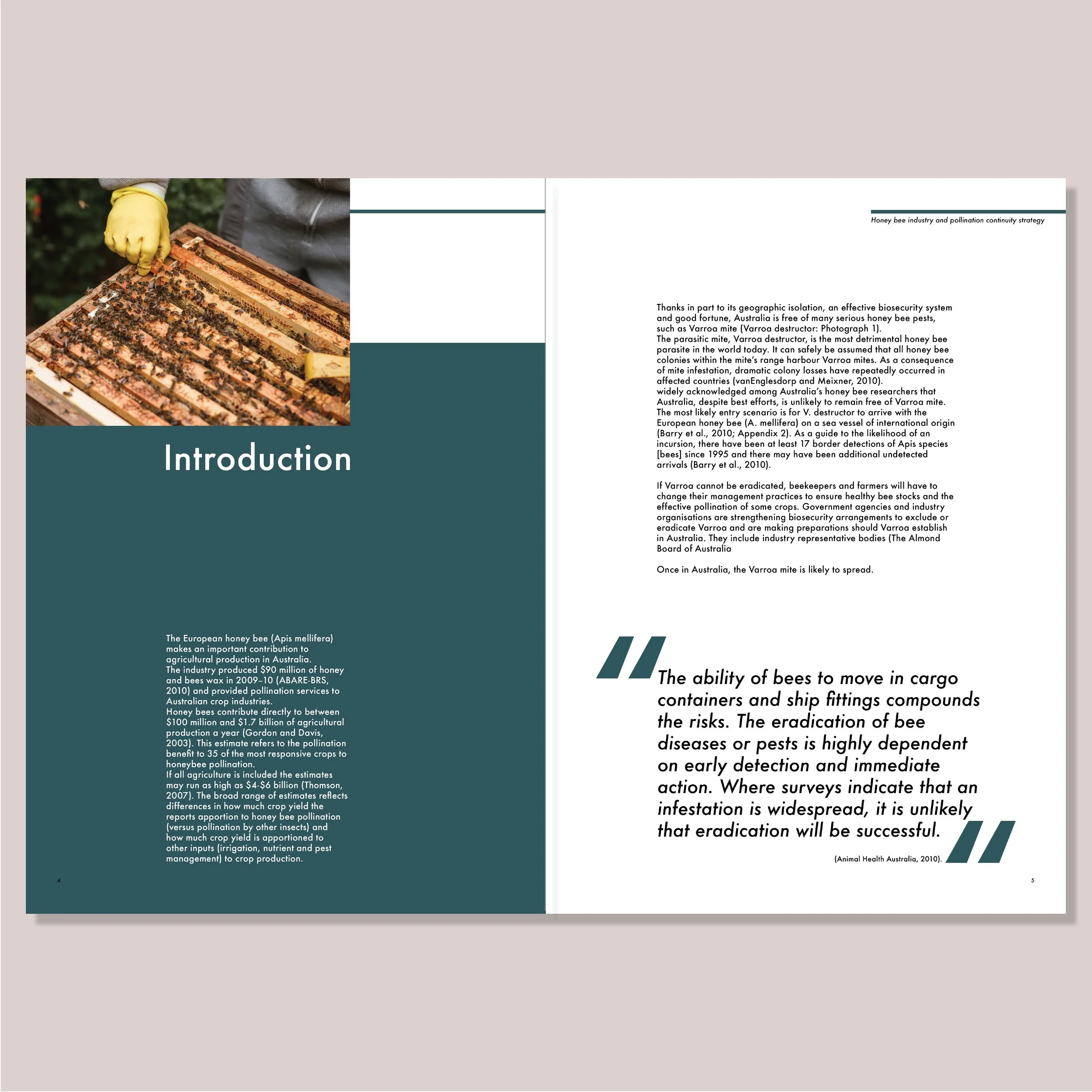 bee_3_introduction.pages4-5.jpg