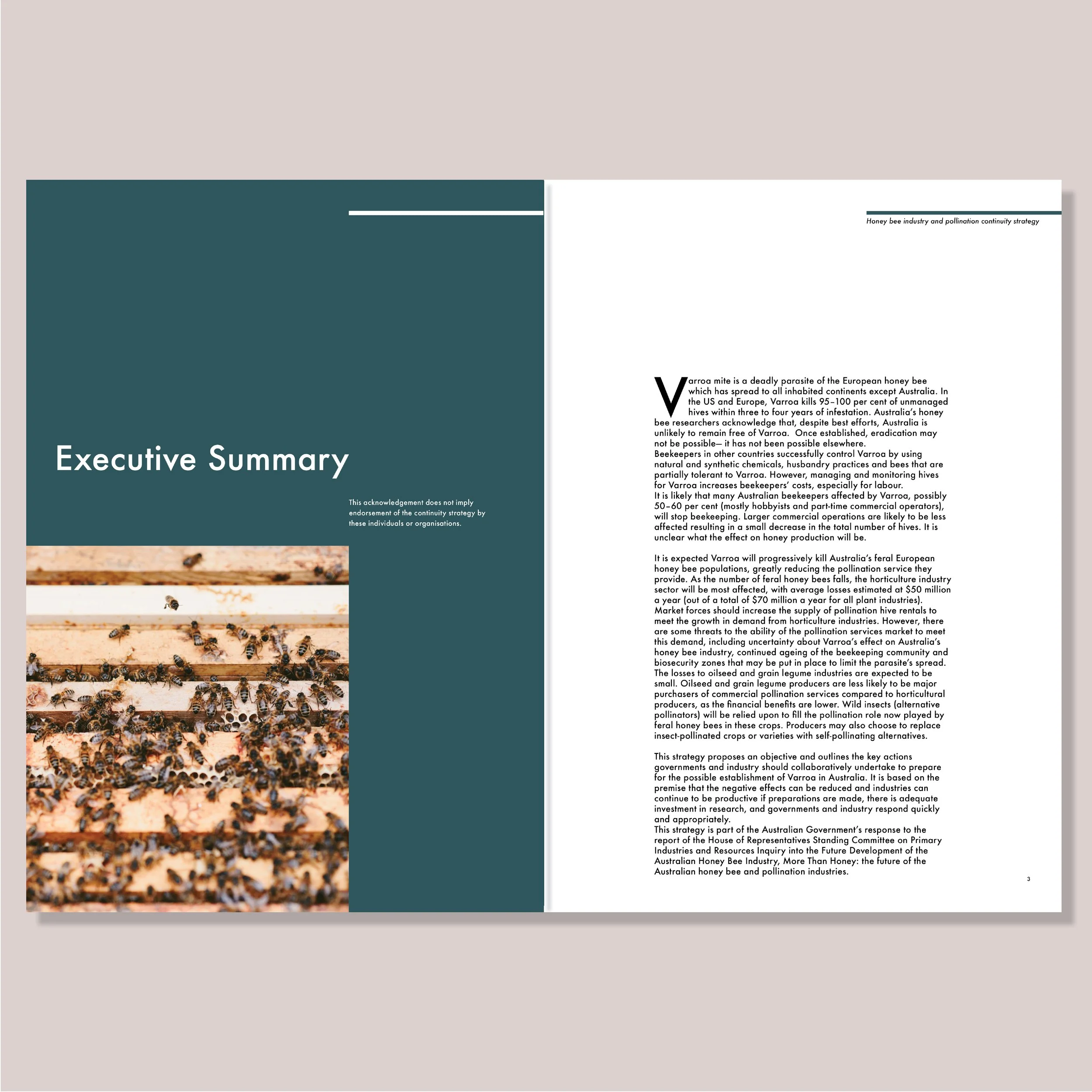 bee_2_exec.summary.pages2-3.jpg