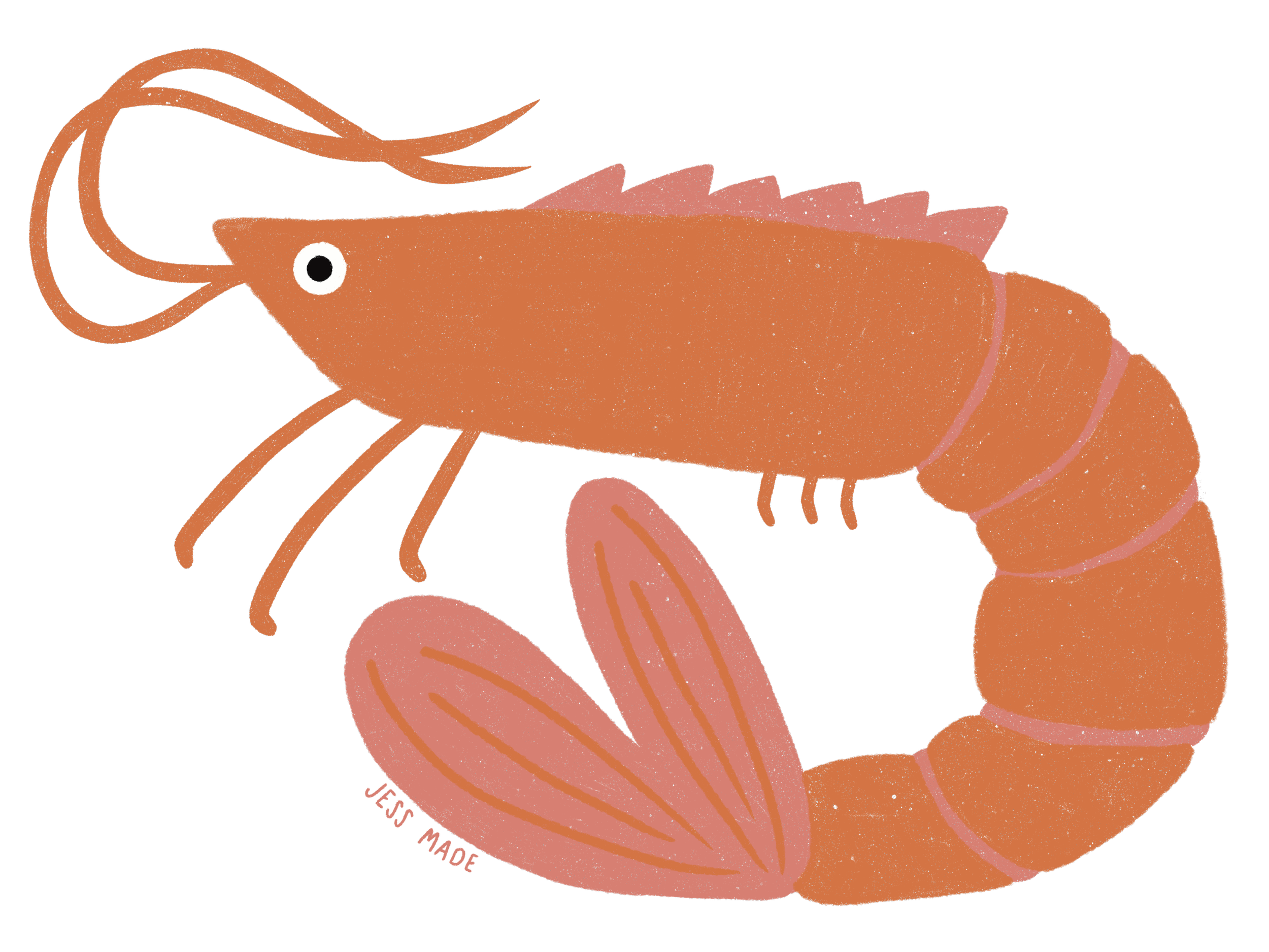 Prawn.PNG