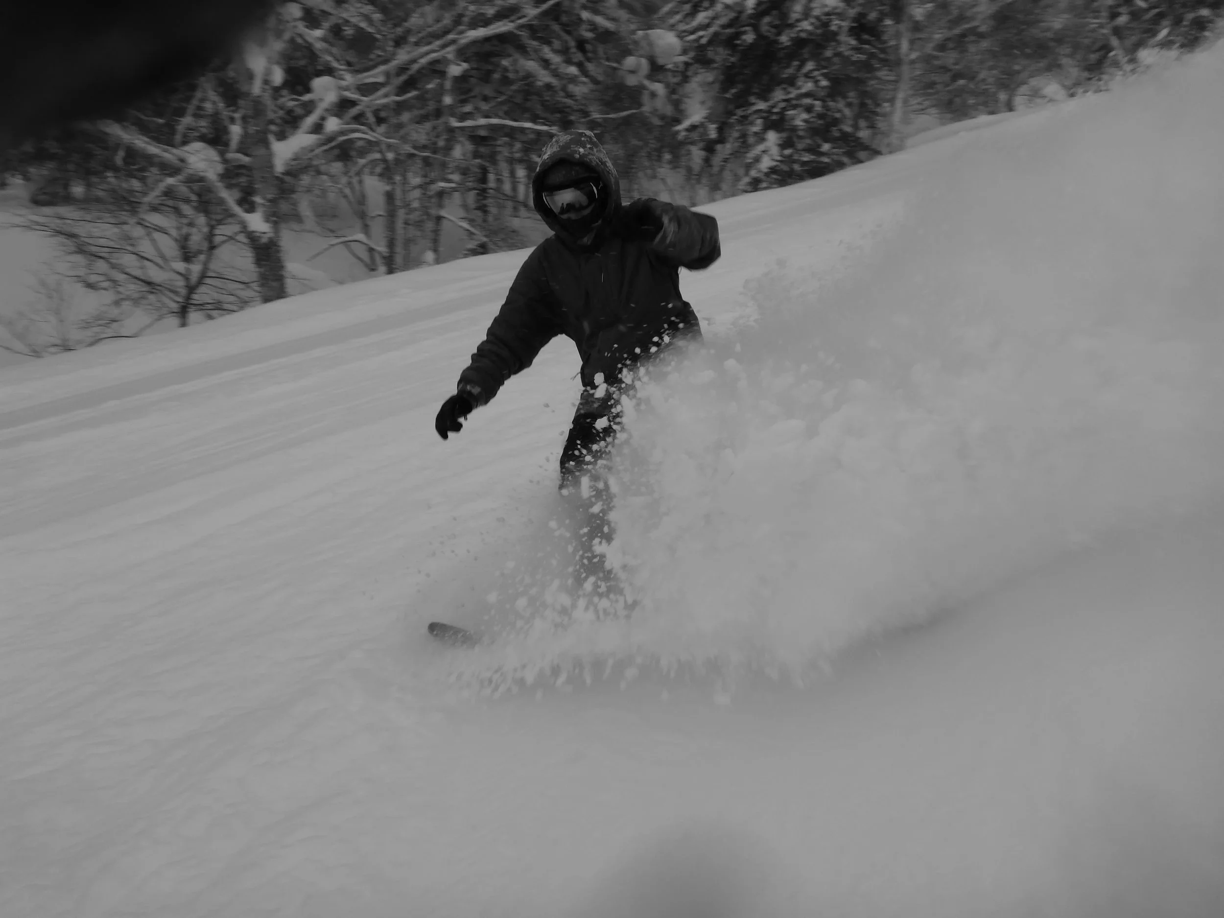 Snowboarder riding through deep powder on a snowy slope with trees in the background in Hokkaido Japan